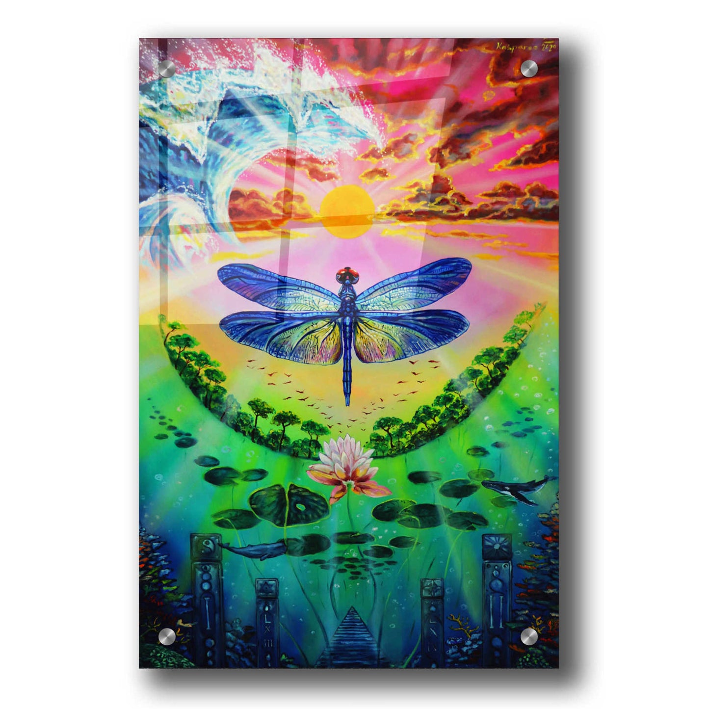 Epic Art 'Dragonfly' by Jan Kasparec, Acrylic Glass Wall Art,24x36