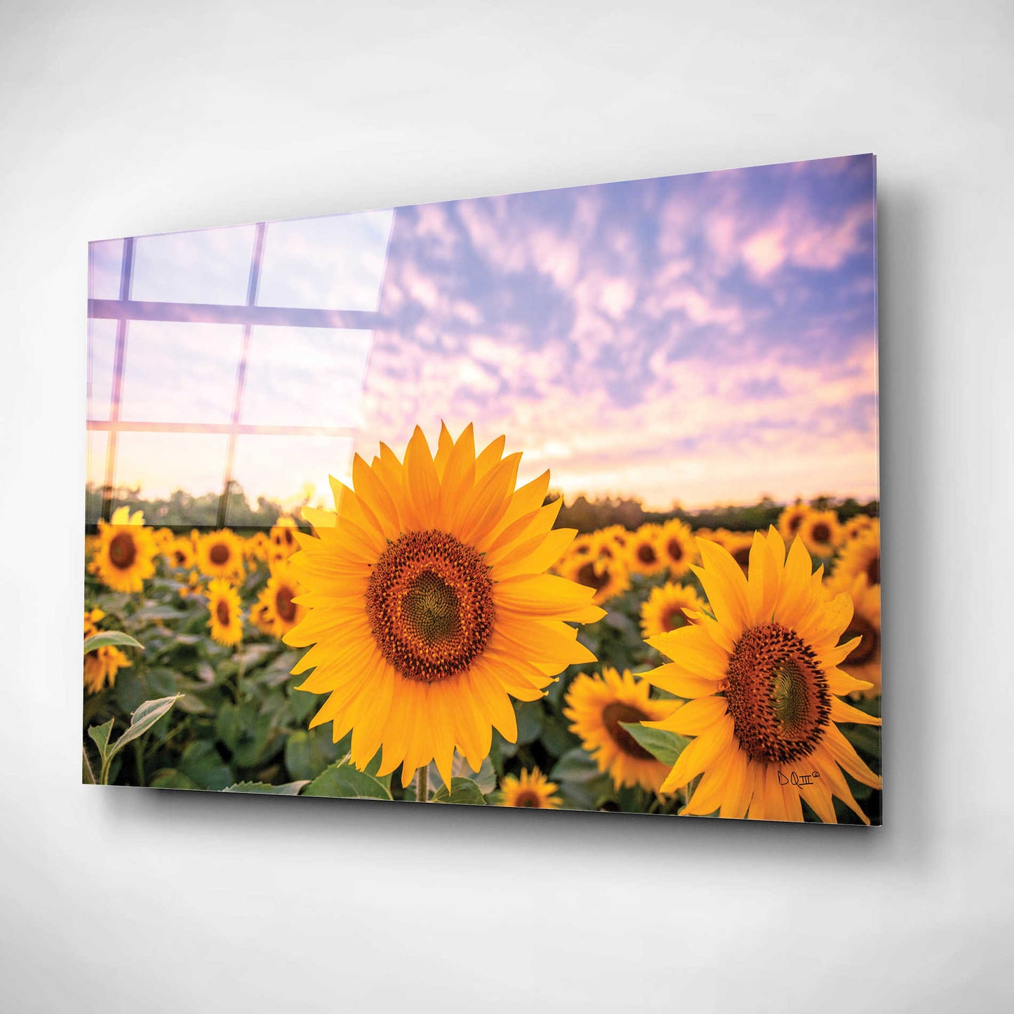 Epic Art 'Sunflower Sunset' by Donnie Quillen, Acrylic Glass Wall Art,16x12