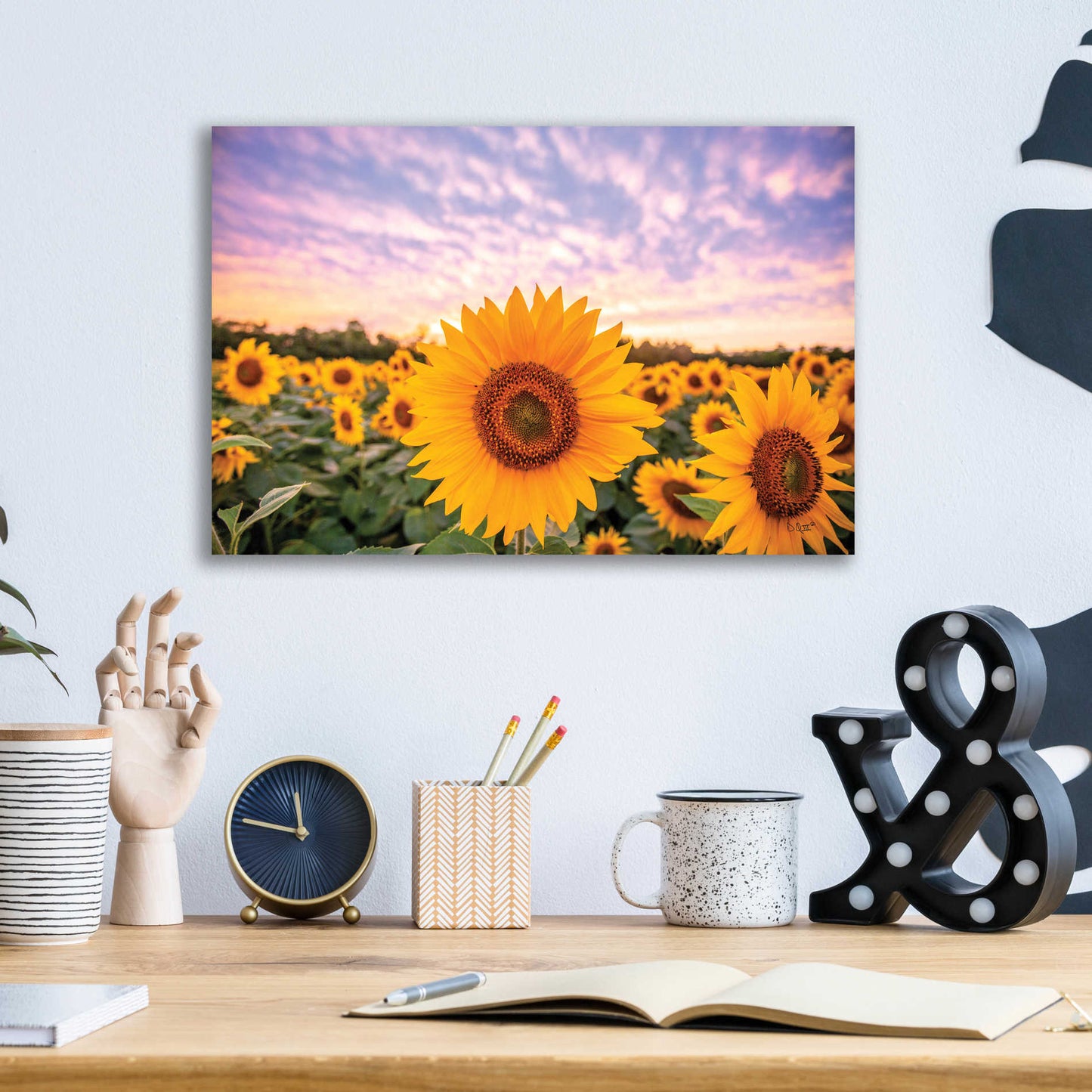 Epic Art 'Sunflower Sunset' by Donnie Quillen, Acrylic Glass Wall Art,16x12