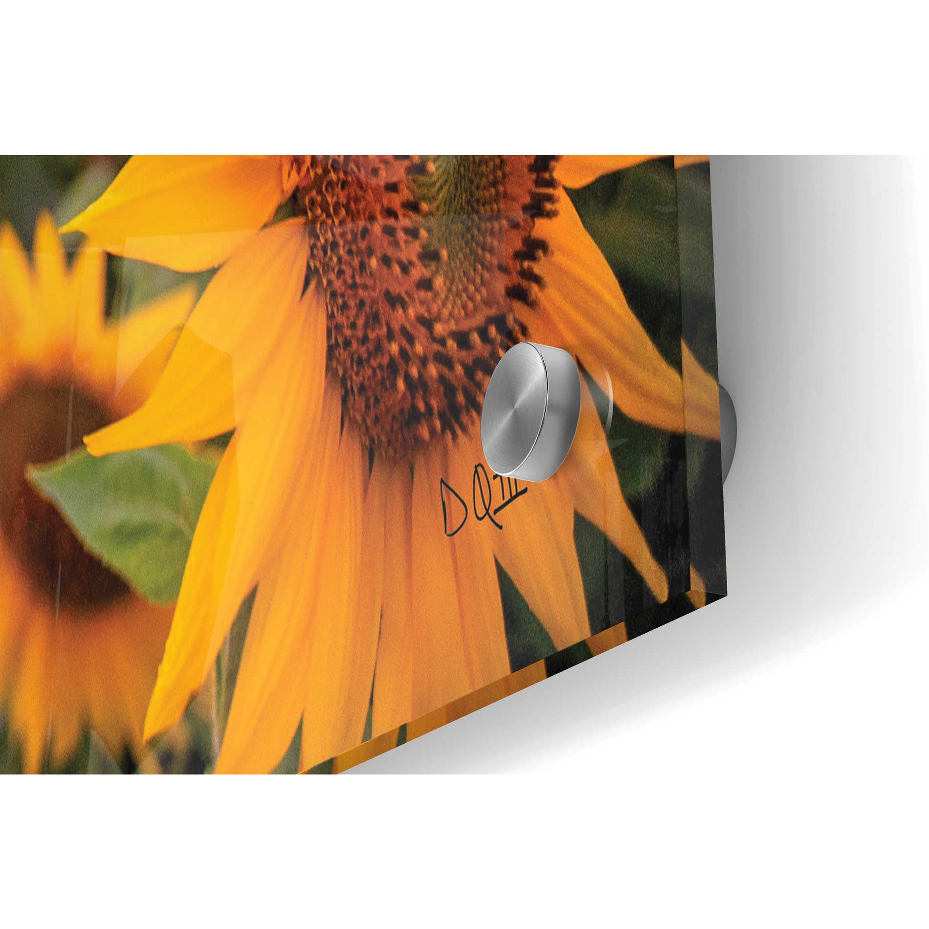 Epic Art 'Sunflower Sunset' by Donnie Quillen, Acrylic Glass Wall Art,36x24