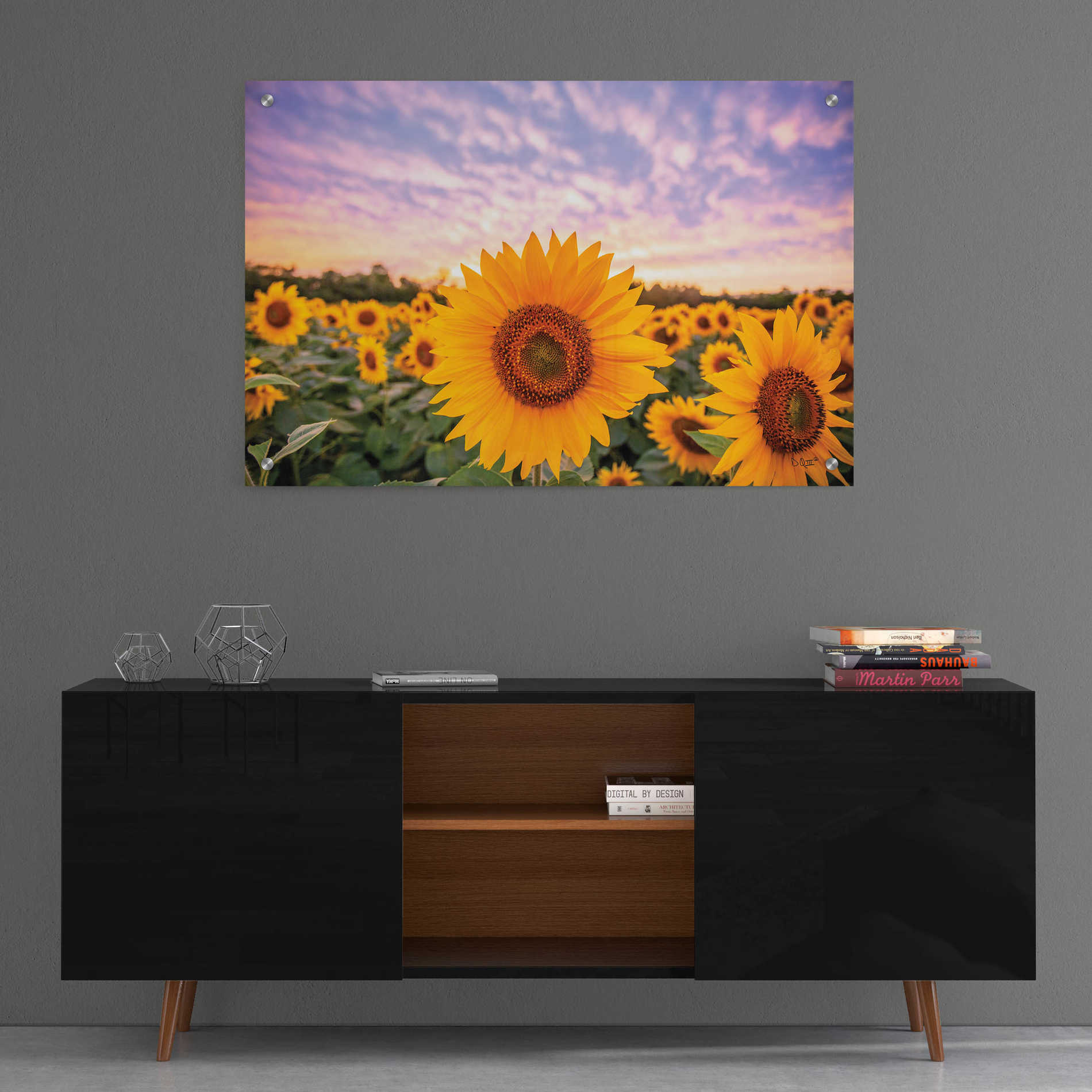 Epic Art 'Sunflower Sunset' by Donnie Quillen, Acrylic Glass Wall Art,36x24