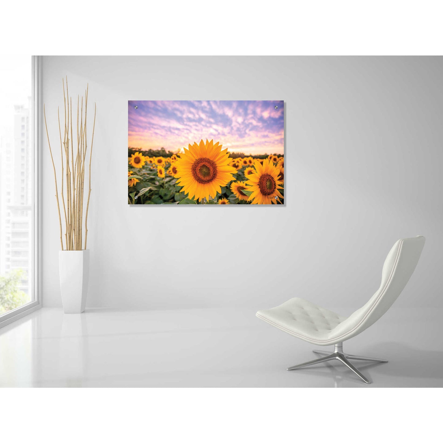 Epic Art 'Sunflower Sunset' by Donnie Quillen, Acrylic Glass Wall Art,36x24