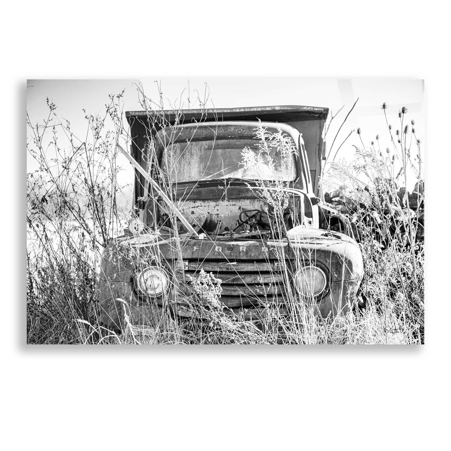 Epic Art 'Truck in Wildflower Field' by Donnie Quillen, Acrylic Glass Wall Art,16x12