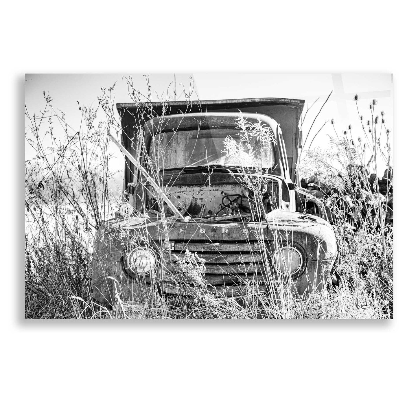 Epic Art 'Truck in Wildflower Field' by Donnie Quillen, Acrylic Glass Wall Art,24x16