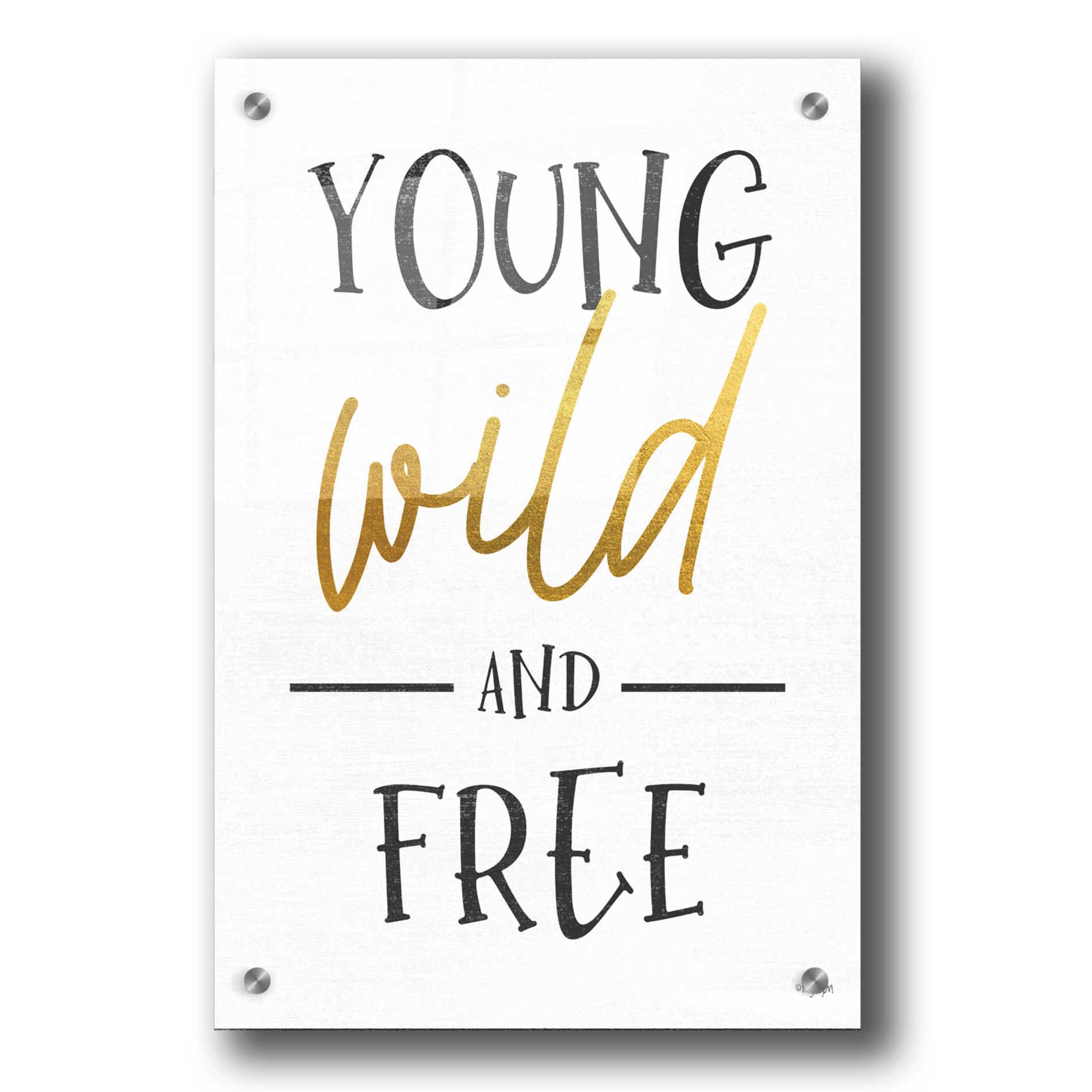 Epic Art 'Young, Wild and Free' by Jaxn Blvd, Acrylic Glass Wall Art,24x36