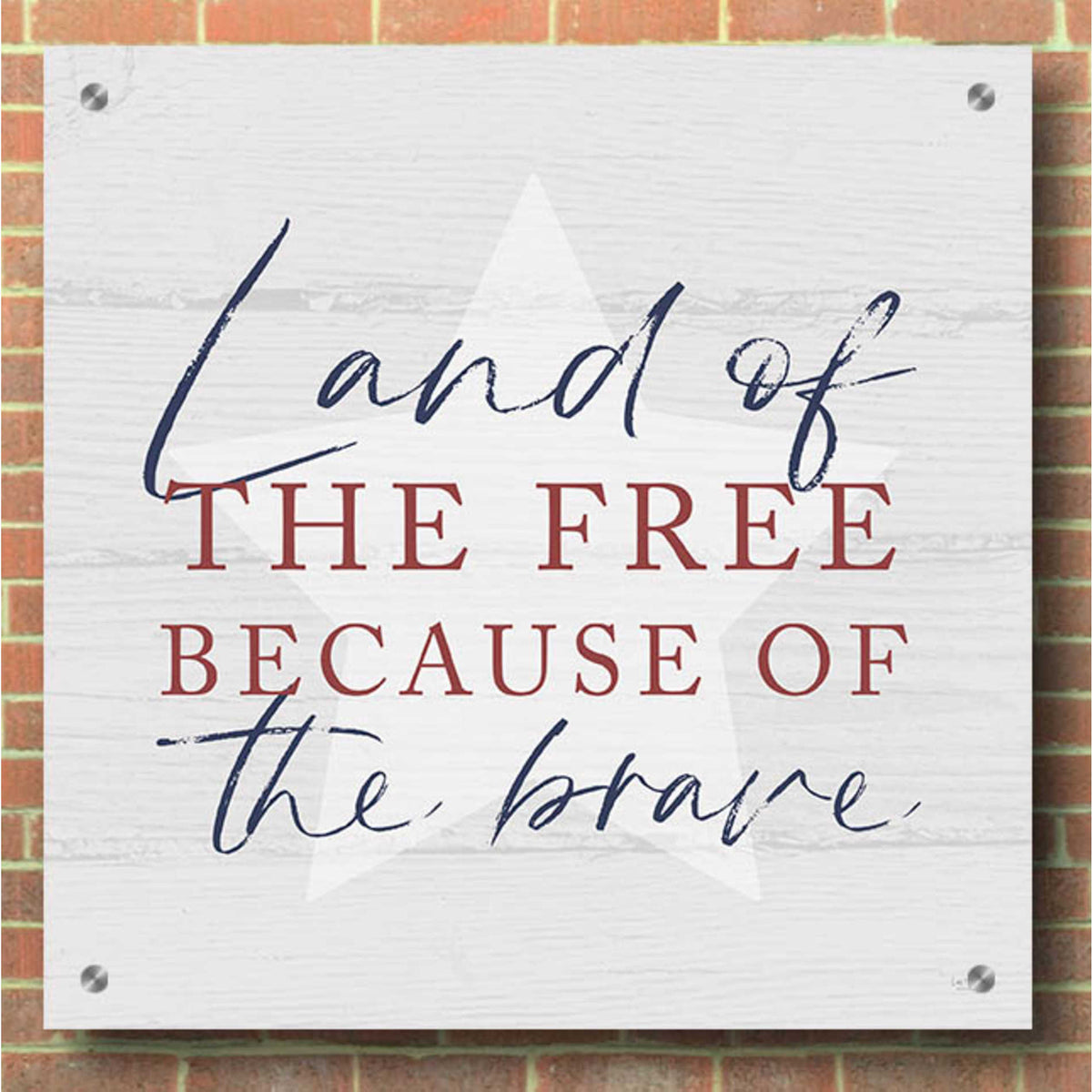Epic Art 'Land of the Free' by Lux + Me, Acrylic Glass Wall Art,36x36