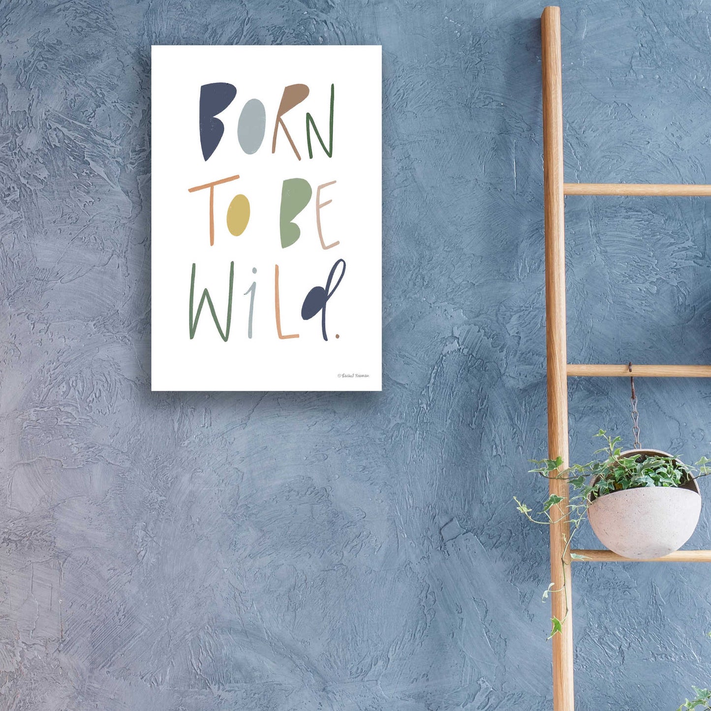 Epic Art 'Born to be Wild' by Rachel Nieman, Acrylic Glass Wall Art,16x24