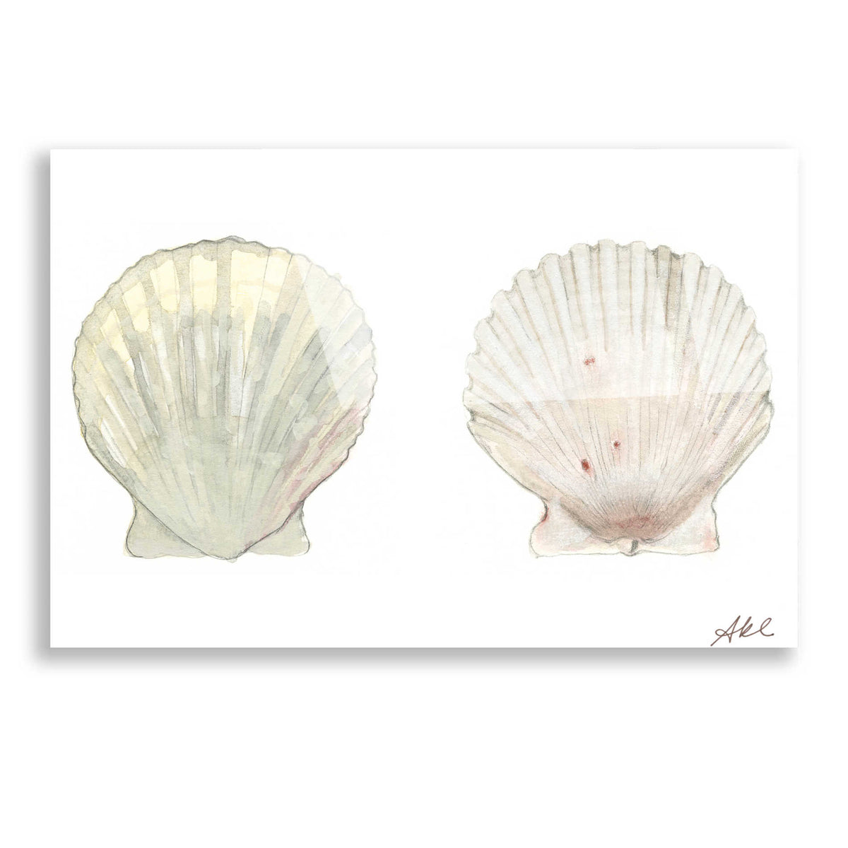 Epic Art 'Tidal Treasure IV' by Alicia Ludwig, Acrylic Glass Wall Art