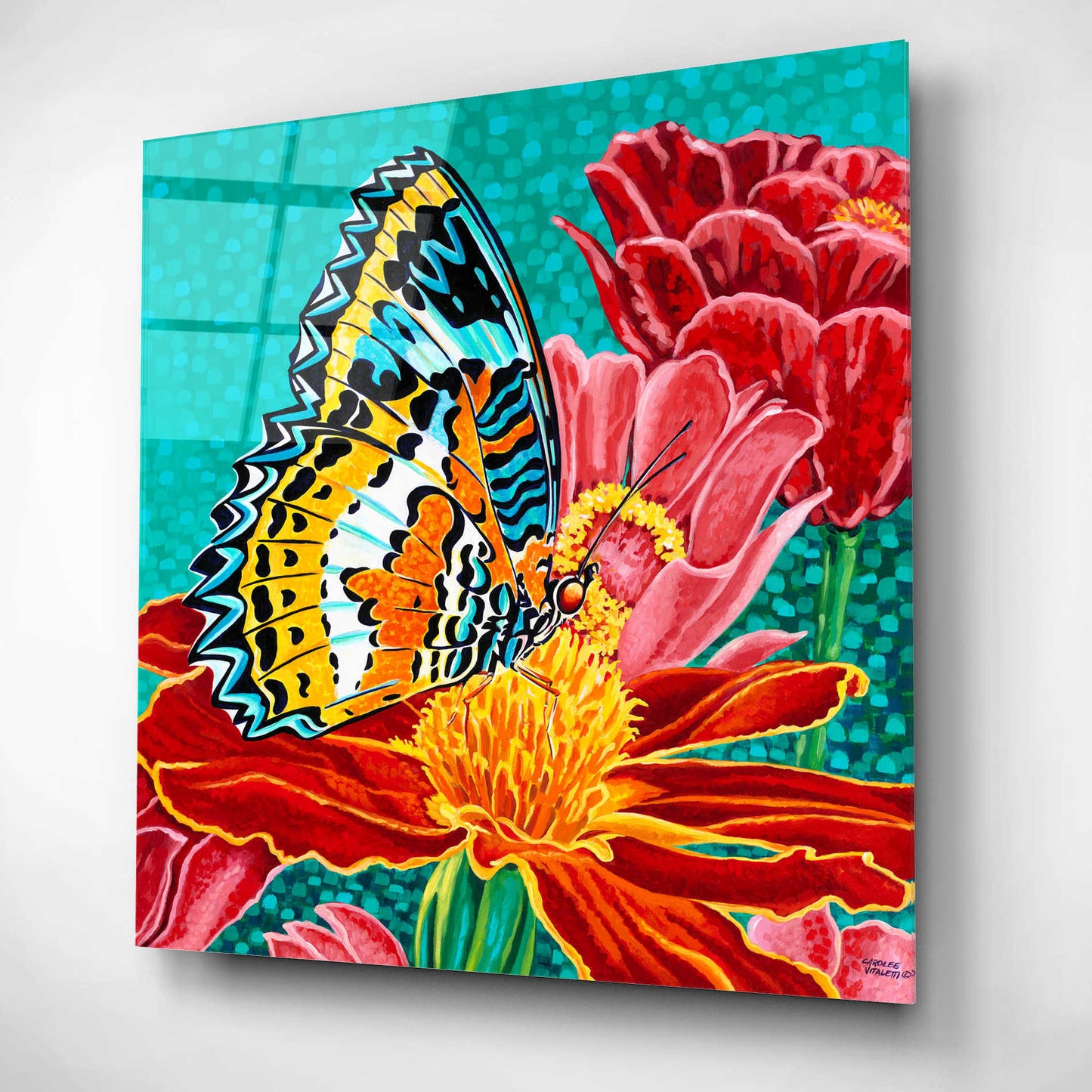 Epic Art 'Poised Butterfly I' by Carolee Vitaletti, Acrylic Glass Wall Art,12x12
