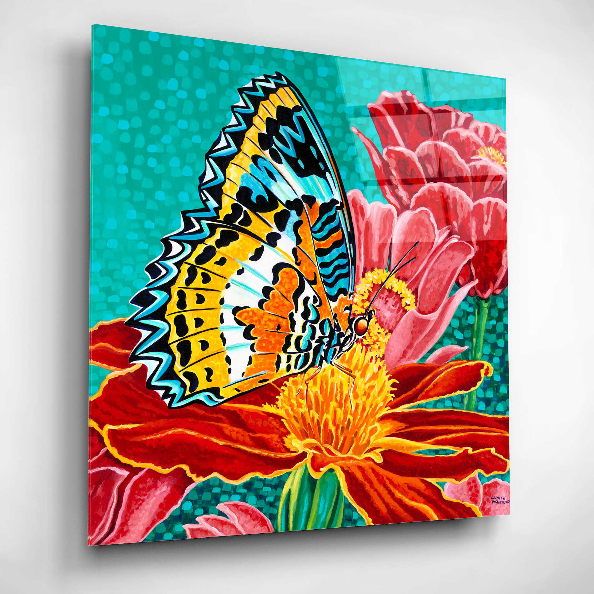Epic Art 'Poised Butterfly I' by Carolee Vitaletti, Acrylic Glass Wall Art,12x12