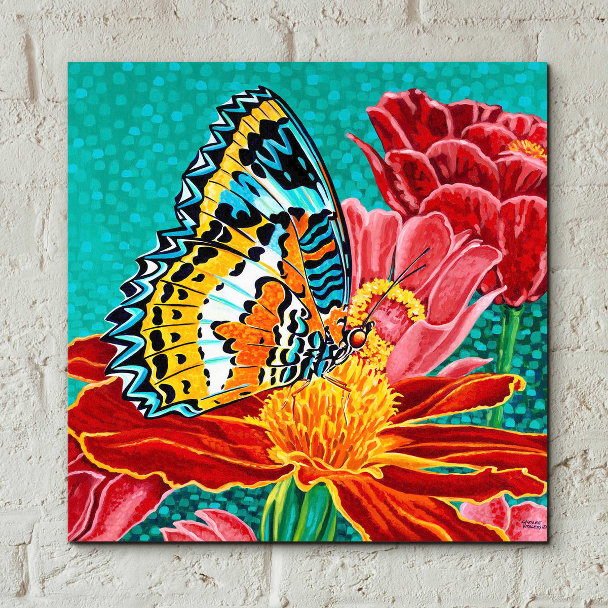 Epic Art 'Poised Butterfly I' by Carolee Vitaletti, Acrylic Glass Wall Art,12x12