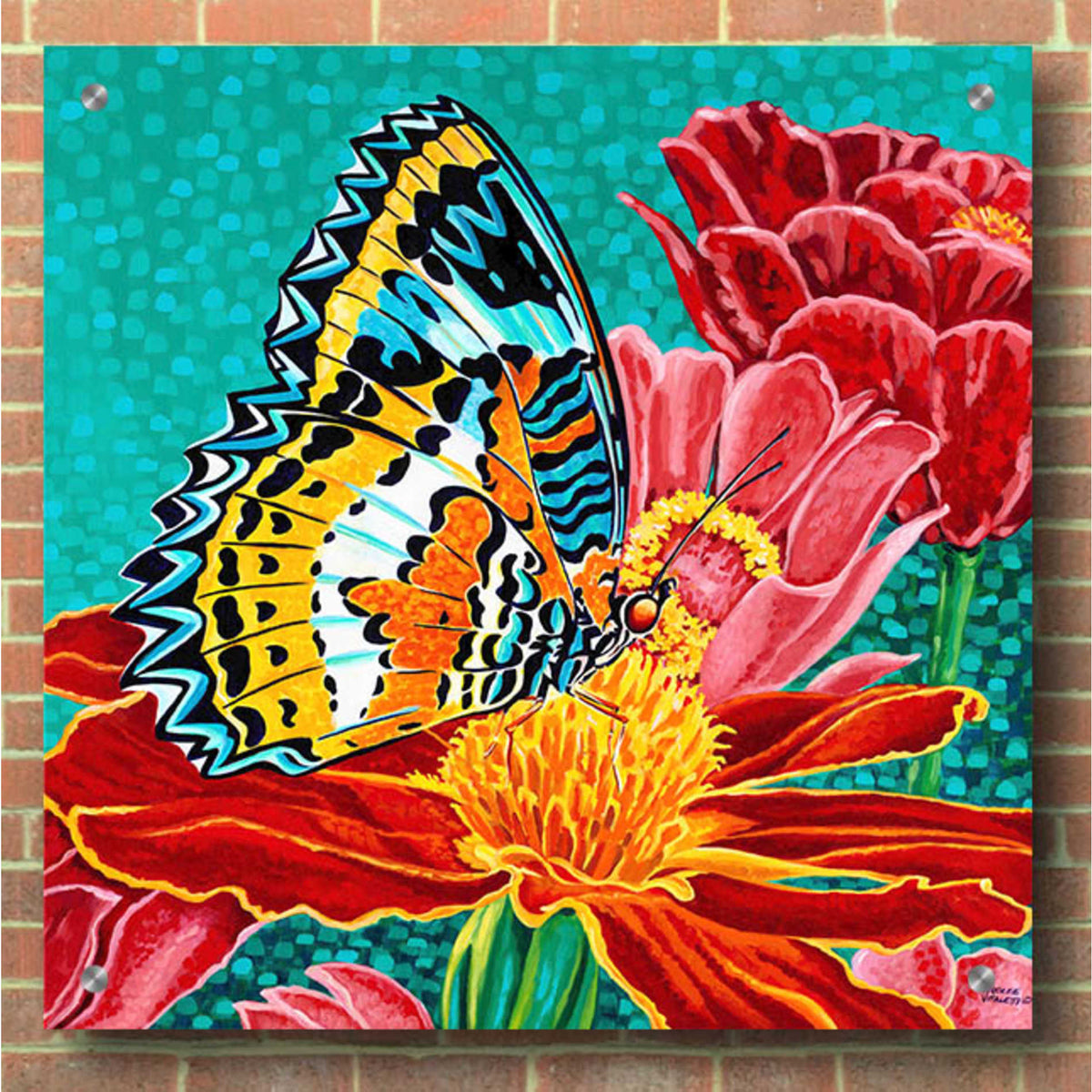 Epic Art 'Poised Butterfly I' by Carolee Vitaletti, Acrylic Glass Wall Art,36x36