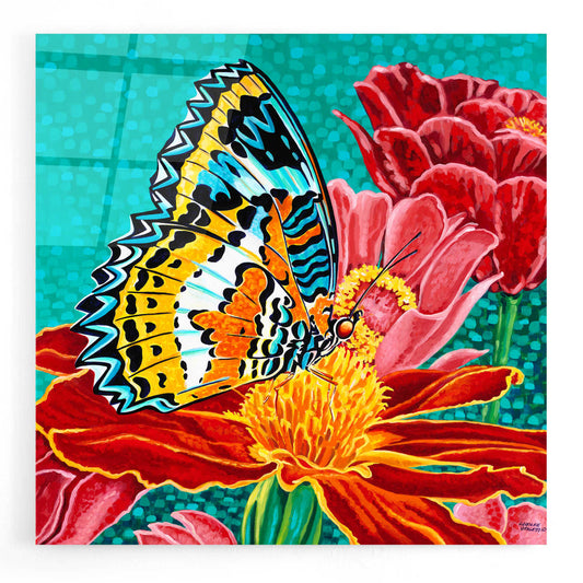 Epic Art 'Poised Butterfly I' by Carolee Vitaletti, Acrylic Glass Wall Art