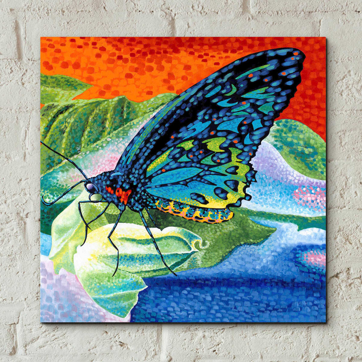 Epic Art 'Poised Butterfly II' by Carolee Vitaletti, Acrylic Glass Wall Art,12x12