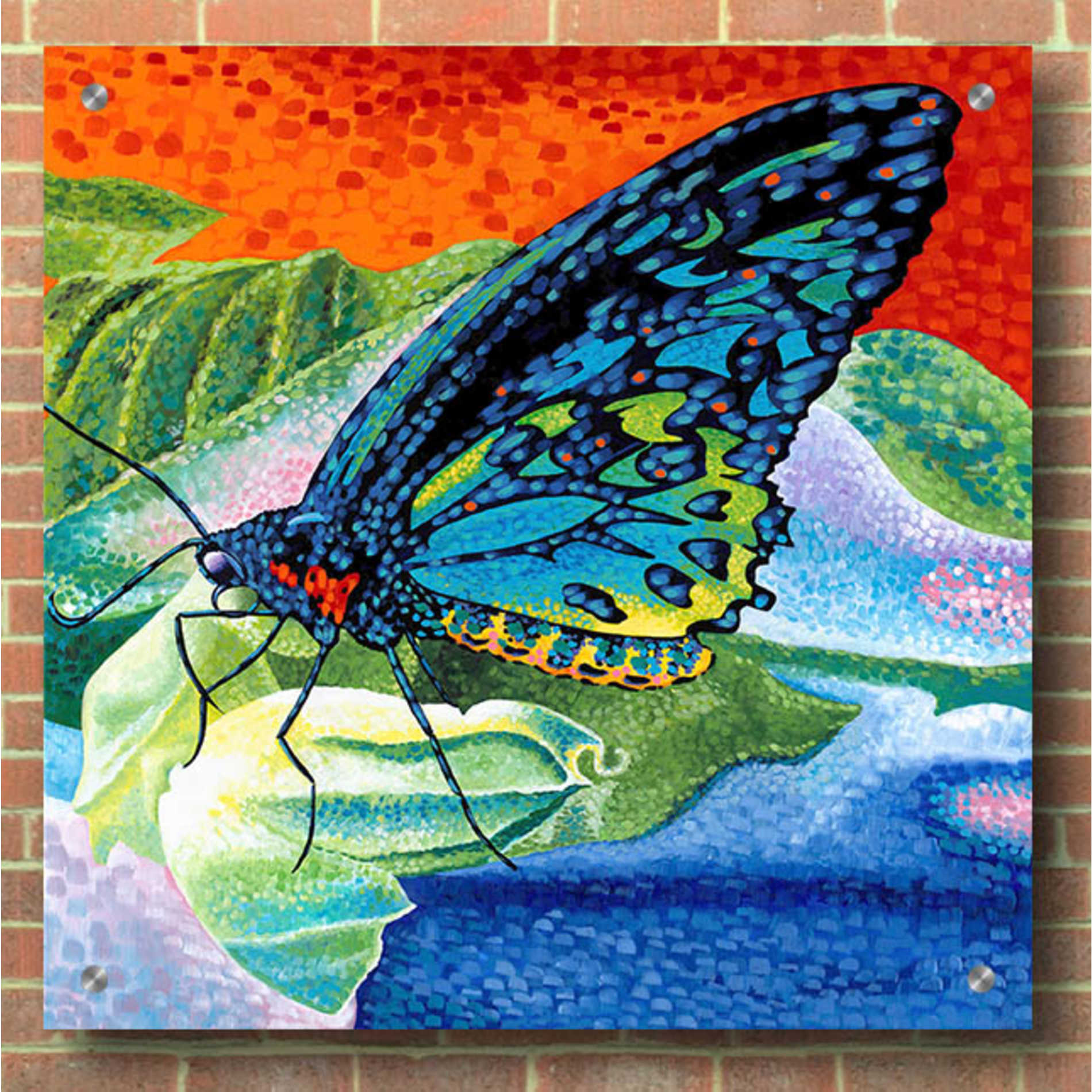 Epic Art 'Poised Butterfly II' by Carolee Vitaletti, Acrylic Glass Wall Art,36x36