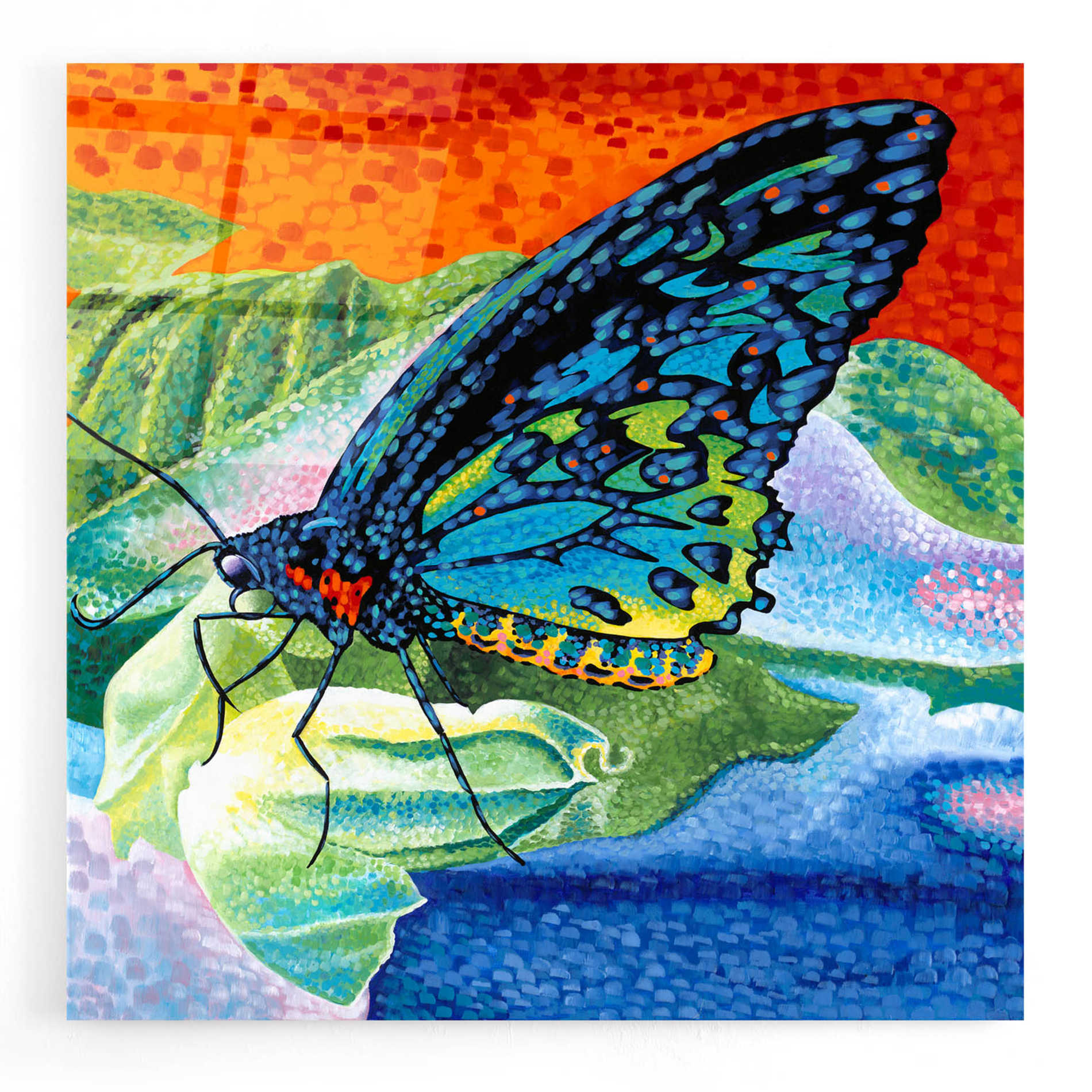 Epic Art 'Poised Butterfly II' by Carolee Vitaletti, Acrylic Glass Wall Art