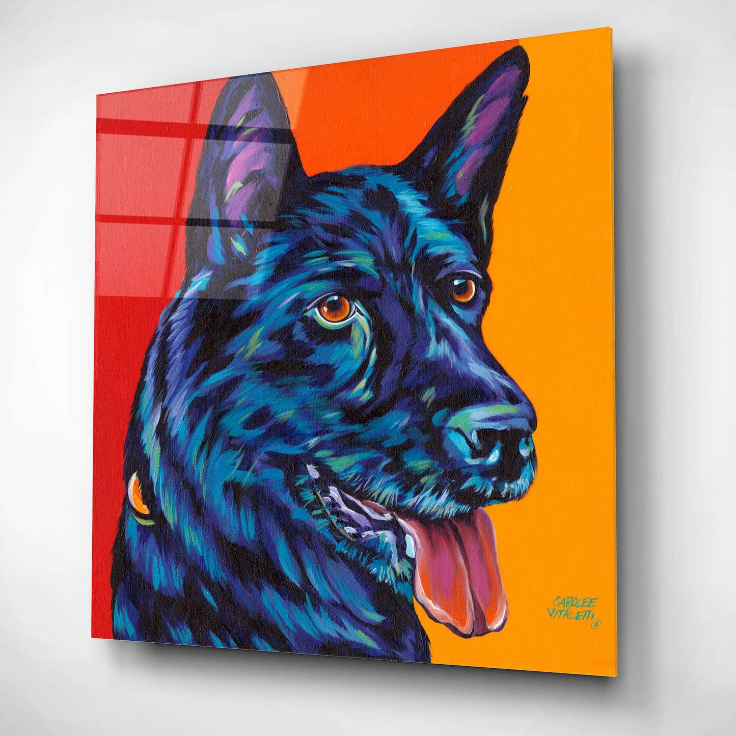 Epic Art 'Dogs in Color I' by Carolee Vitaletti, Acrylic Glass Wall Art,12x12