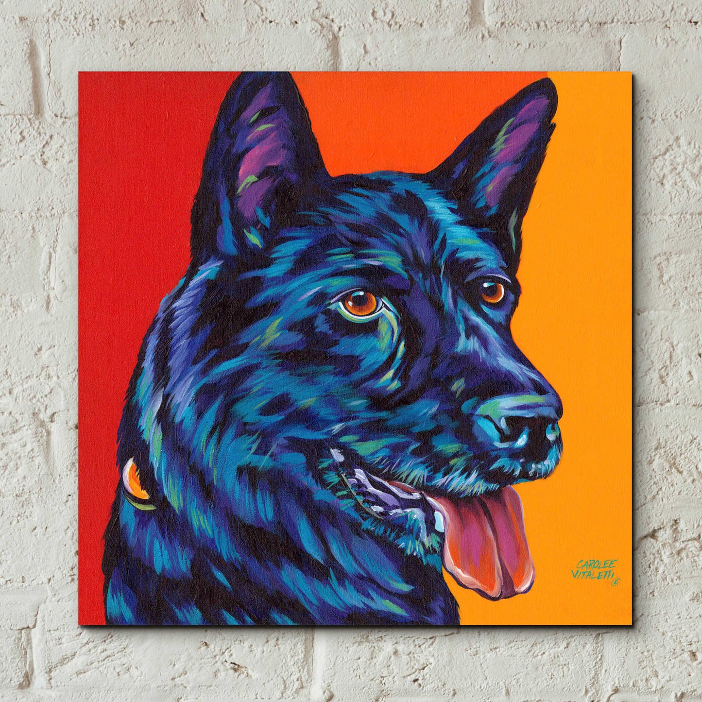 Epic Art 'Dogs in Color I' by Carolee Vitaletti, Acrylic Glass Wall Art,12x12