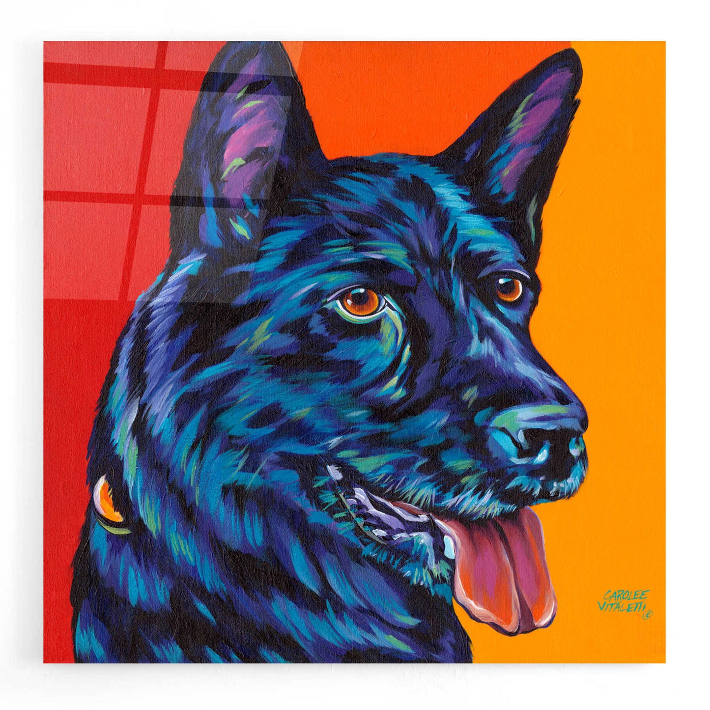 Epic Art 'Dogs in Color I' by Carolee Vitaletti, Acrylic Glass Wall Art