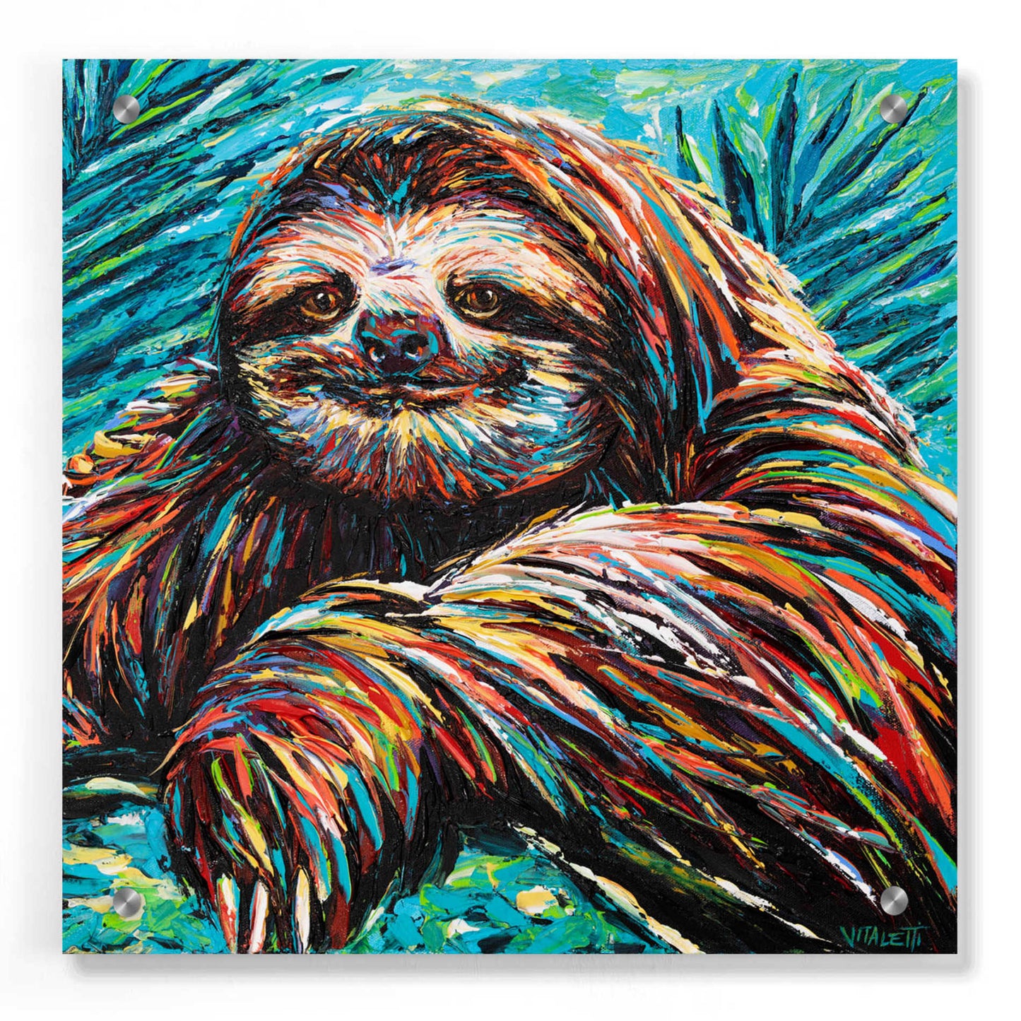 Epic Art 'Painted Sloth I' by Carolee Vitaletti, Acrylic Glass Wall Art,36x36