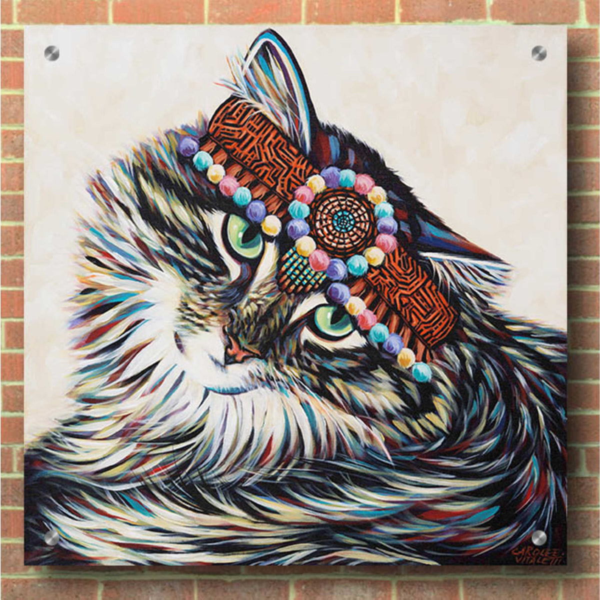 Epic Art 'Hippie Cat I' by Carolee Vitaletti, Acrylic Glass Wall Art,36x36