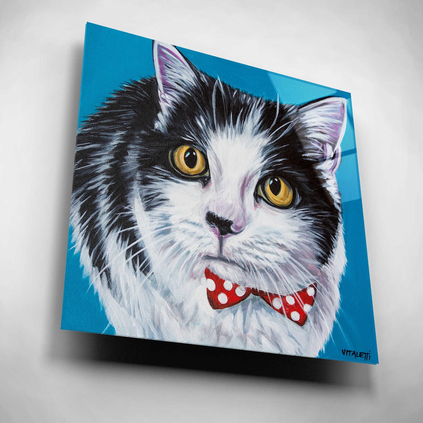 Epic Art 'Classy Cat I' by Carolee Vitaletti, Acrylic Glass Wall Art,12x12