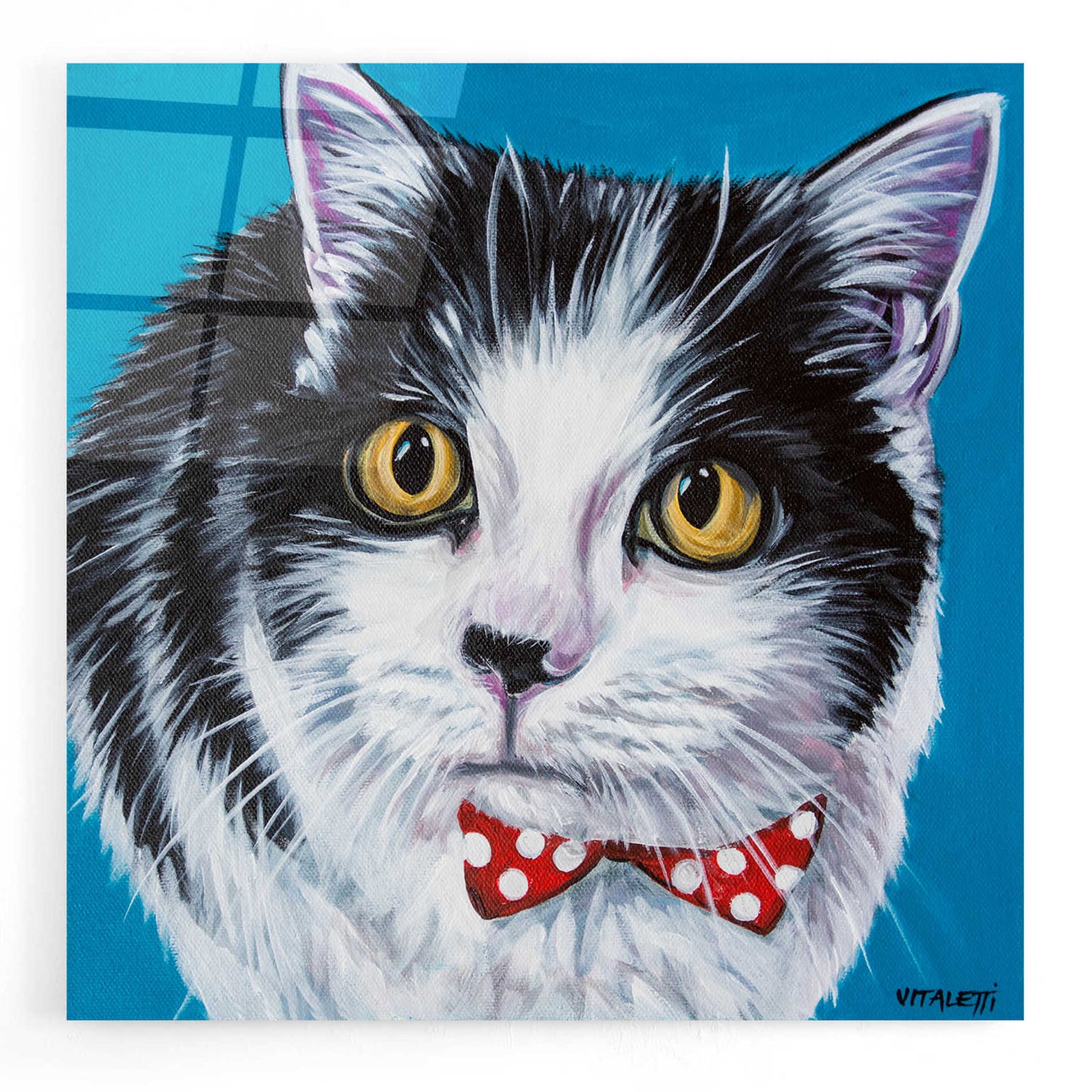 Epic Art 'Classy Cat I' by Carolee Vitaletti, Acrylic Glass Wall Art,12x12