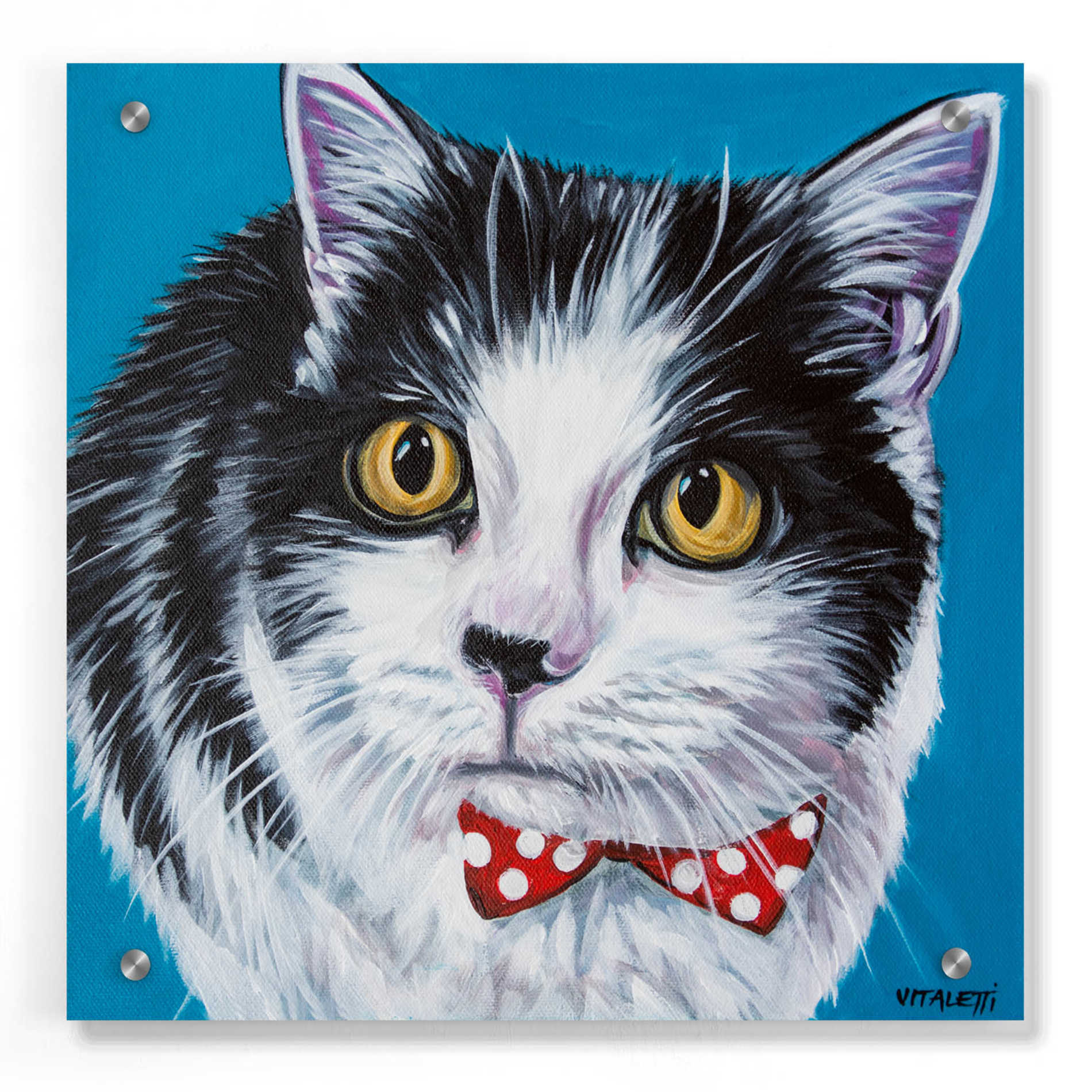 Epic Art 'Classy Cat I' by Carolee Vitaletti, Acrylic Glass Wall Art,36x36