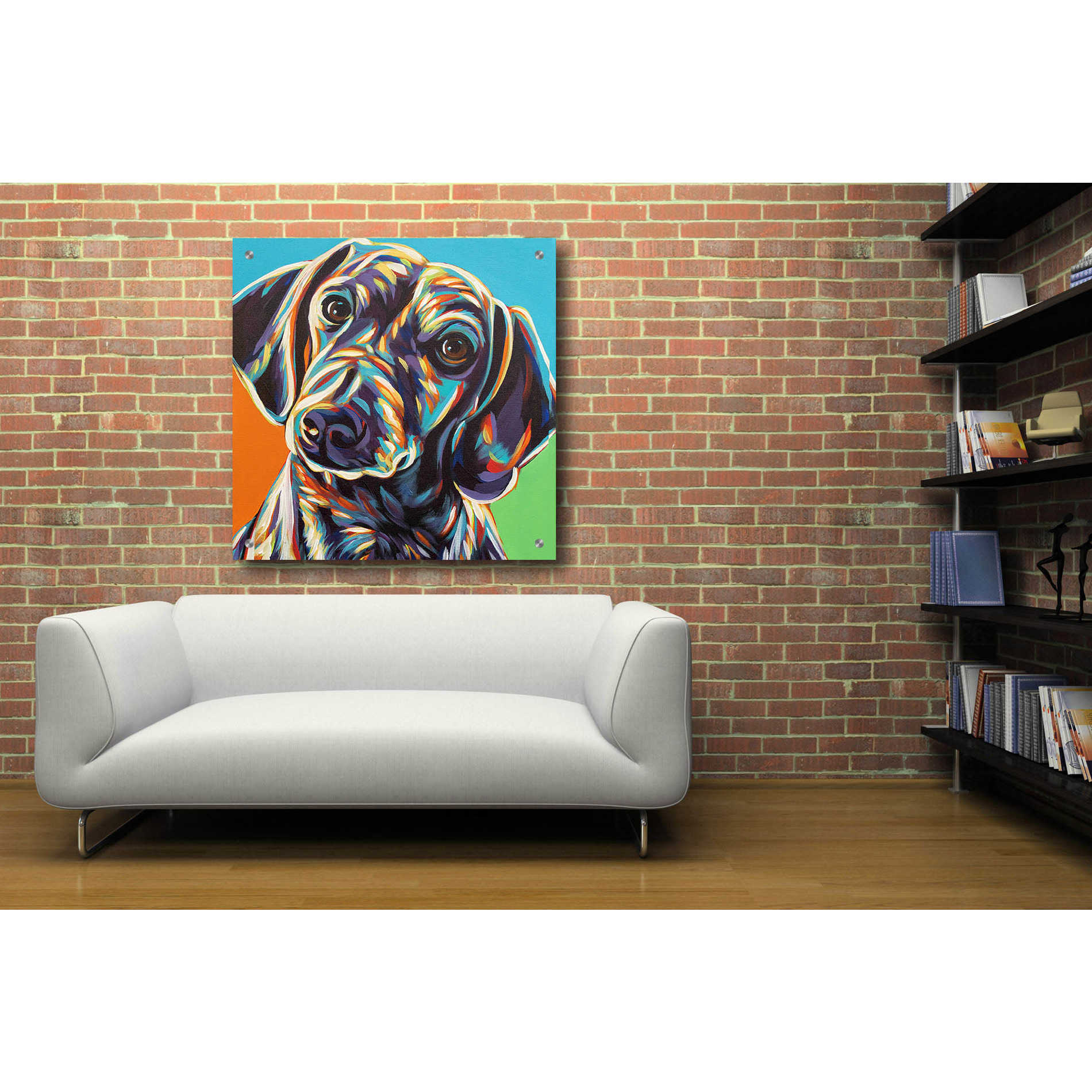 Epic Art 'Painted Dachshund II' by Carolee Vitaletti, Acrylic Glass Wall Art,36x36