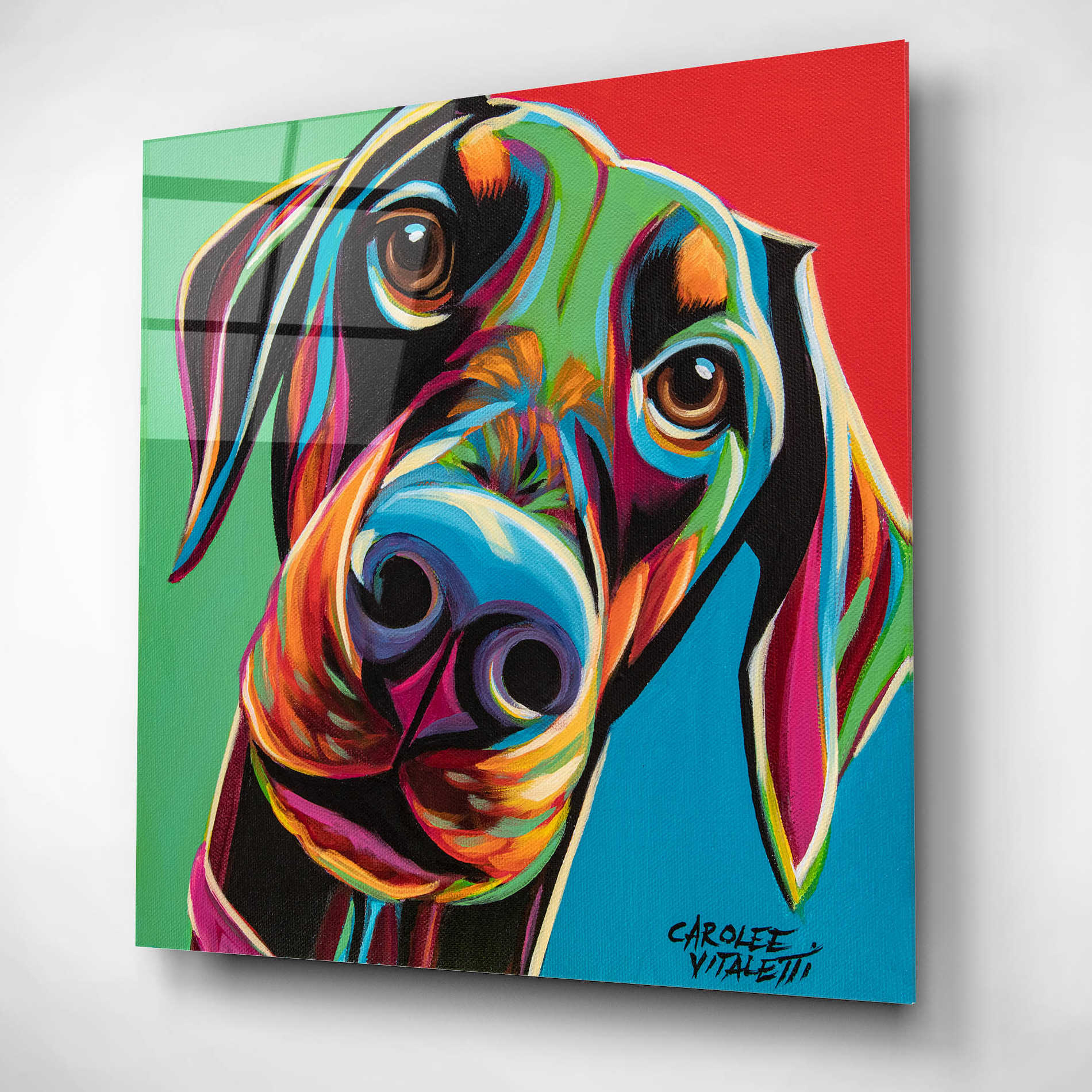 Epic Art 'Chroma Dogs I' by Carolee Vitaletti, Acrylic Glass Wall Art,12x12