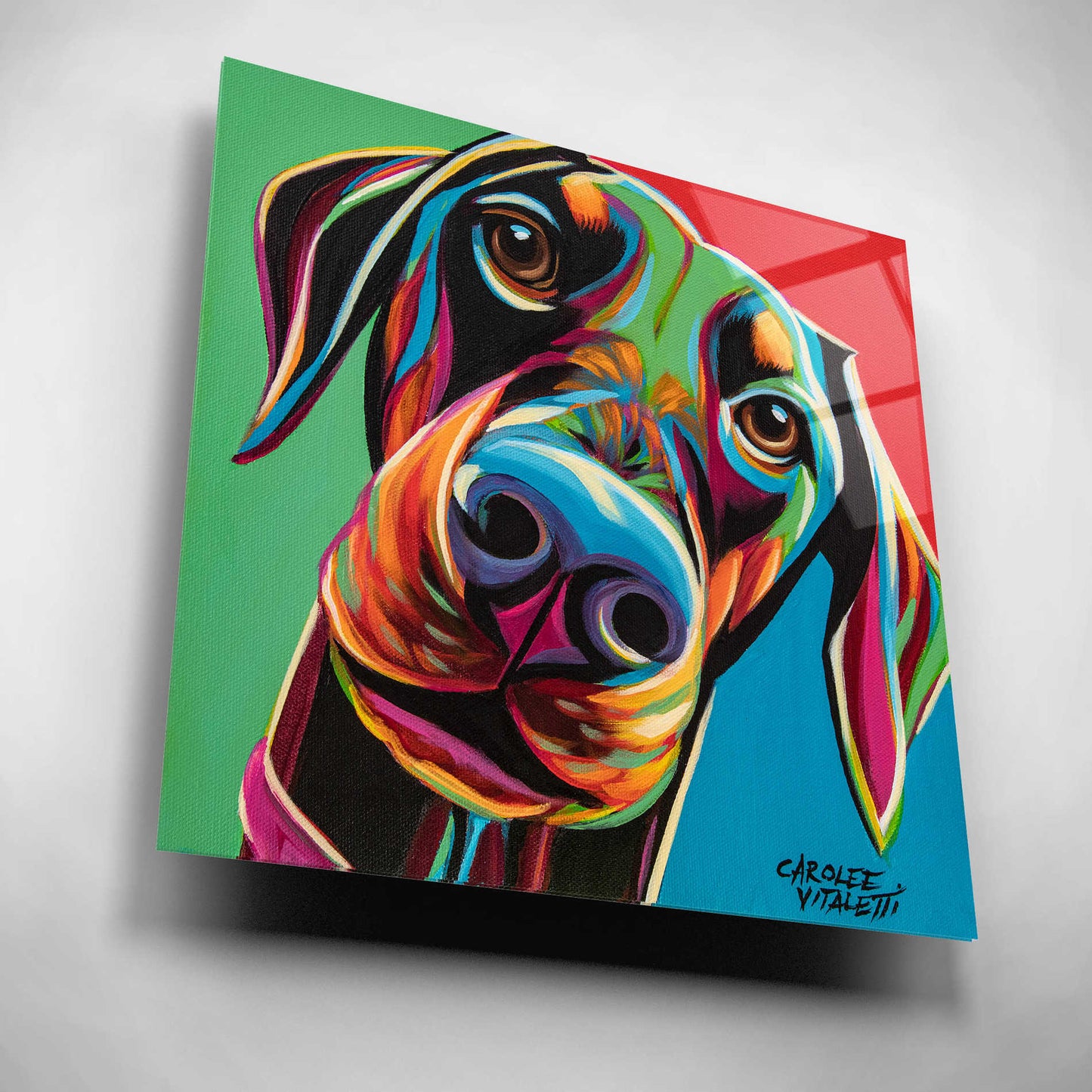 Epic Art 'Chroma Dogs I' by Carolee Vitaletti, Acrylic Glass Wall Art,12x12