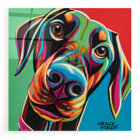 Epic Art 'Chroma Dogs I' by Carolee Vitaletti, Acrylic Glass Wall Art
