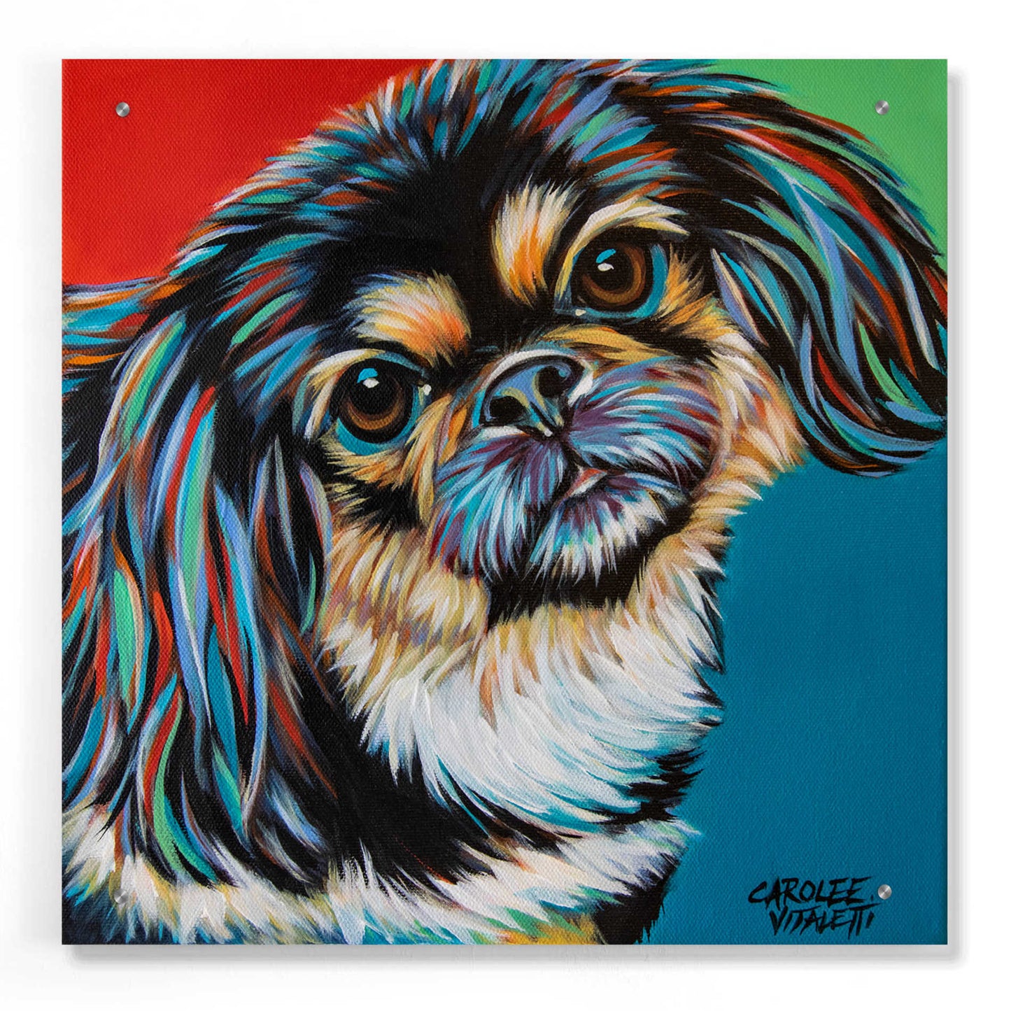 Epic Art 'Chroma Dogs IV' by Carolee Vitaletti, Acrylic Glass Wall Art,24x24