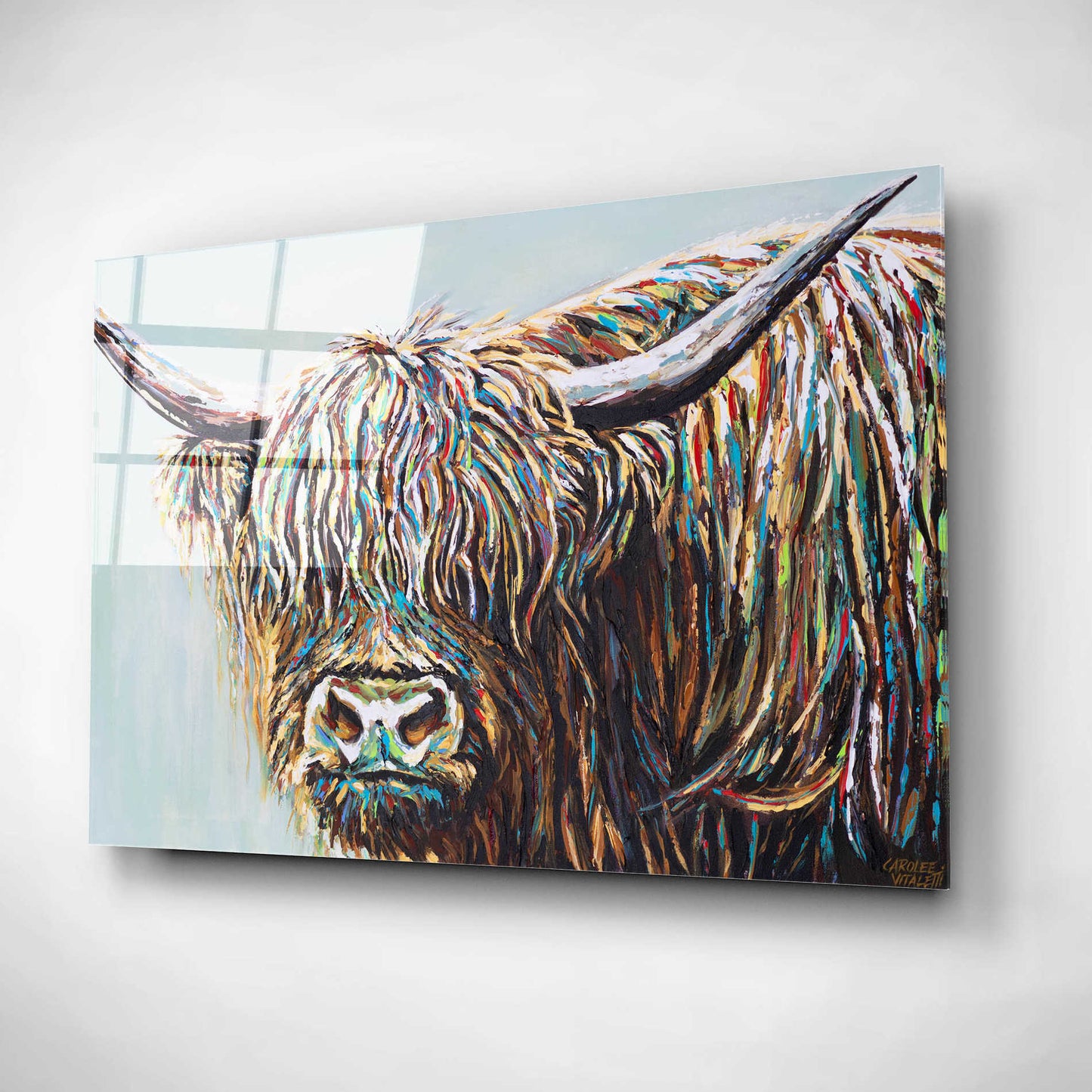 Epic Art 'Woolly Highland I' by Carolee Vitaletti, Acrylic Glass Wall Art,16x12