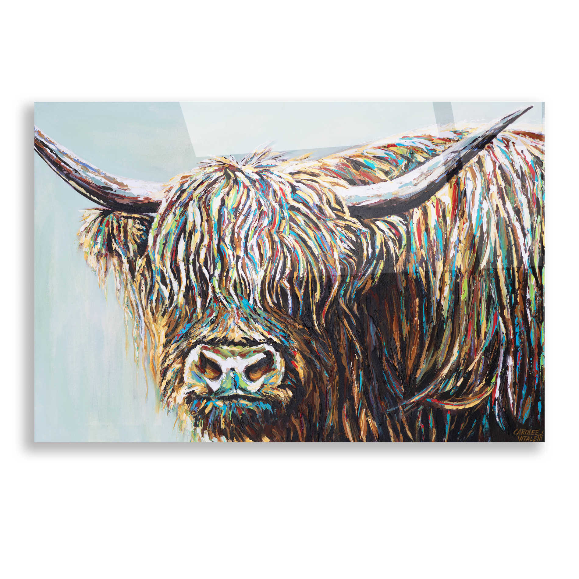 Epic Art 'Woolly Highland I' by Carolee Vitaletti, Acrylic Glass Wall Art,16x12