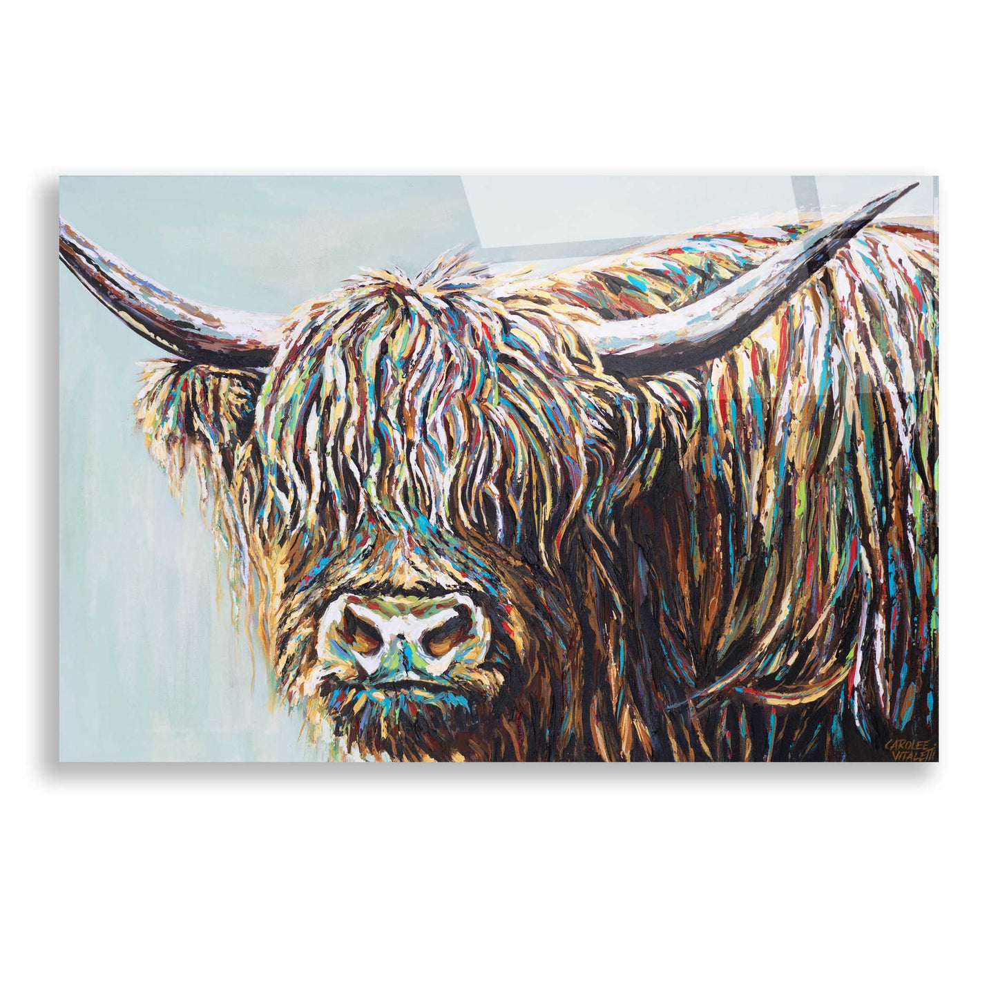 Epic Art 'Woolly Highland I' by Carolee Vitaletti, Acrylic Glass Wall Art,24x16