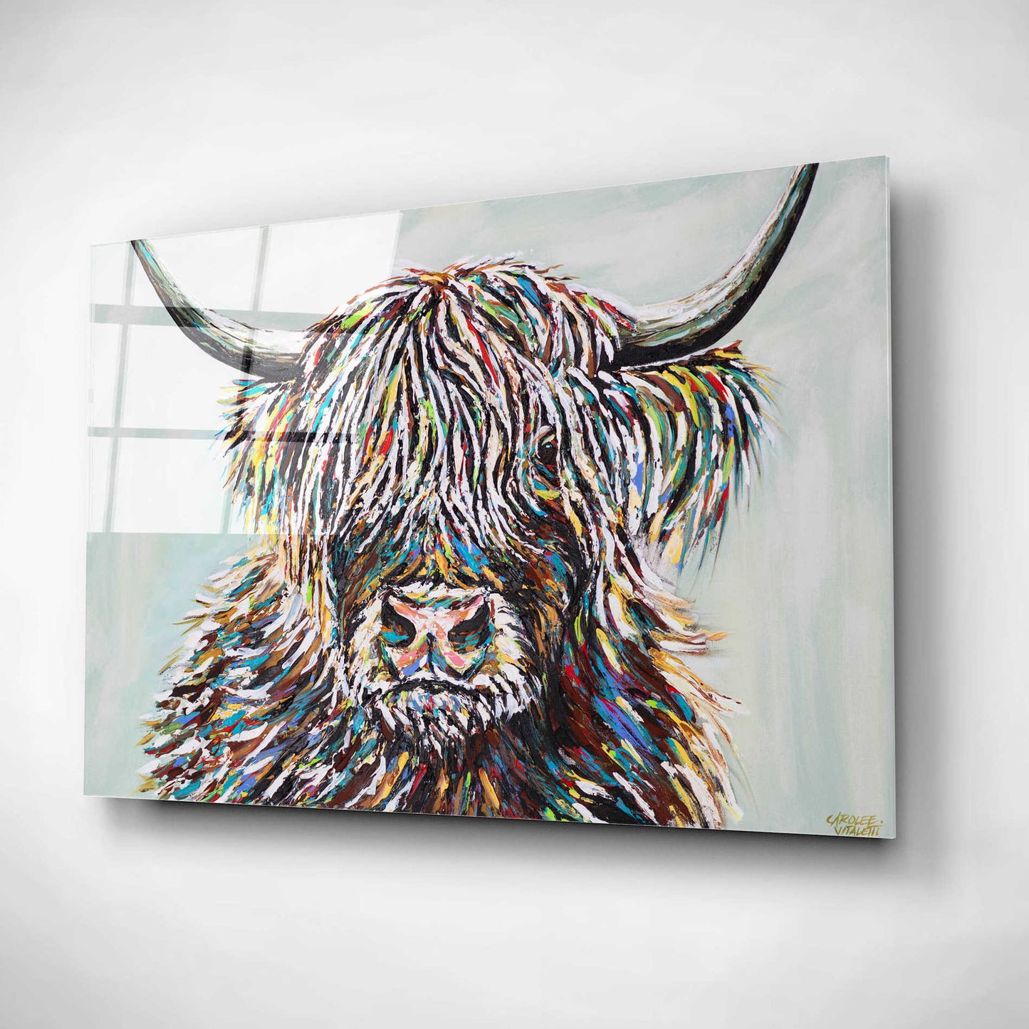 Epic Art 'Woolly Highland II' by Carolee Vitaletti, Acrylic Glass Wall Art,24x16