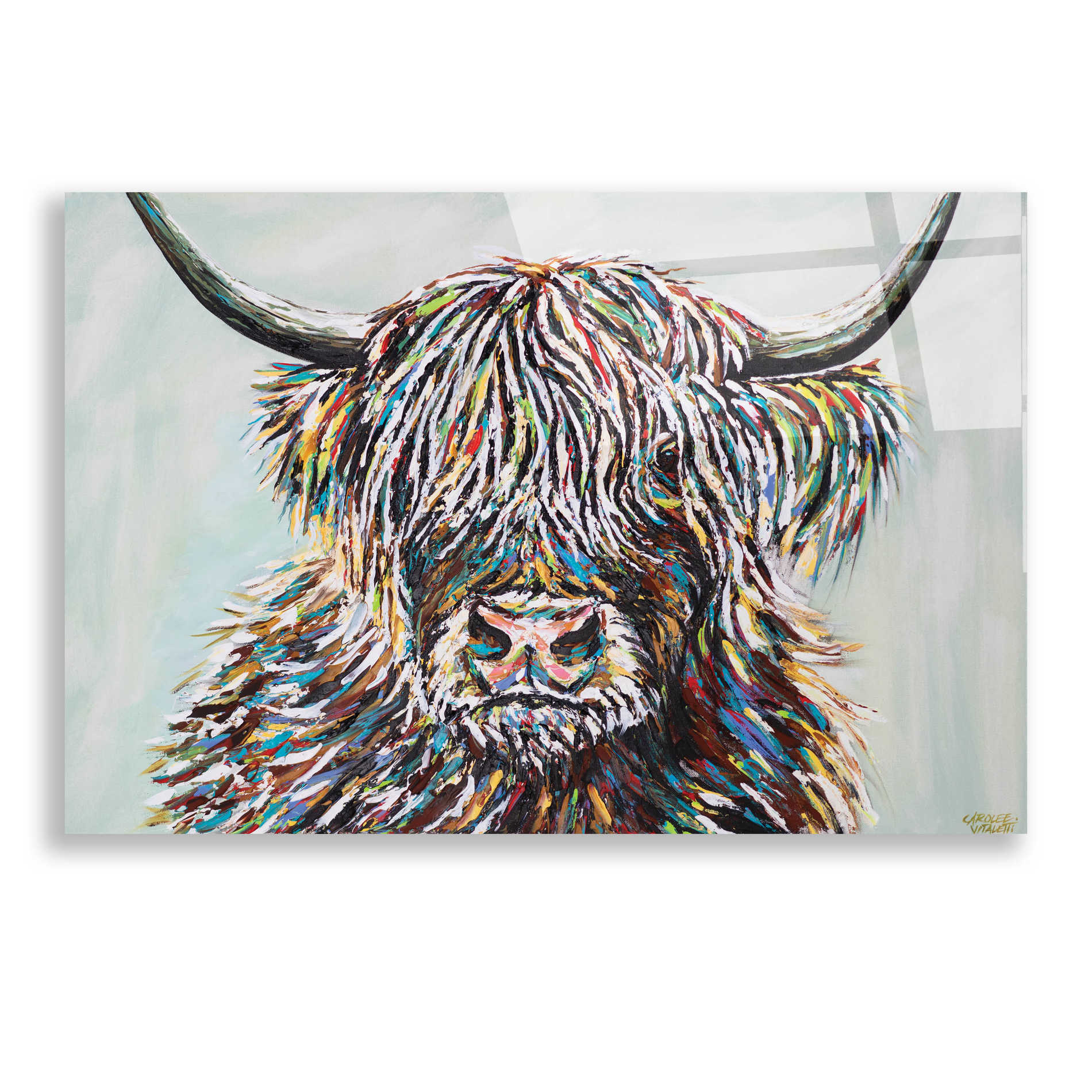 Epic Art 'Woolly Highland II' by Carolee Vitaletti, Acrylic Glass Wall Art,24x16
