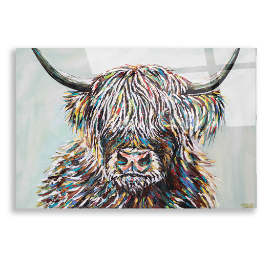 Epic Art 'Woolly Highland II' by Carolee Vitaletti, Acrylic Glass Wall Art