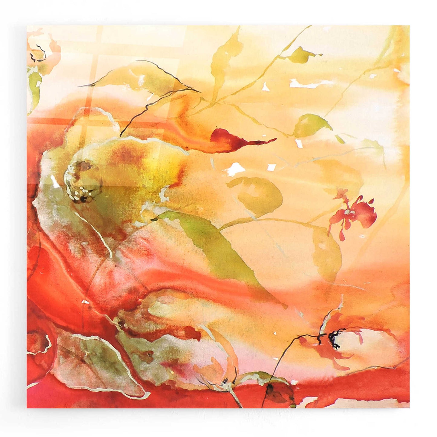 Epic Art 'En Naranjas II' by Leticia Herrera, Acrylic Glass Wall Art,12x12