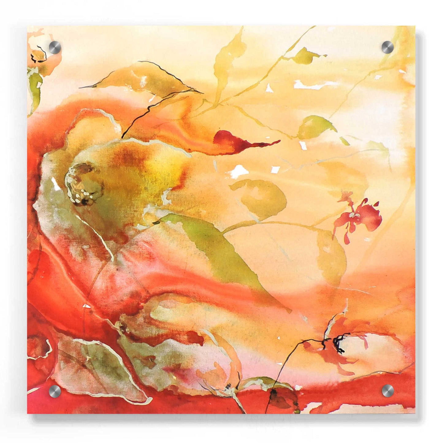 Epic Art 'En Naranjas II' by Leticia Herrera, Acrylic Glass Wall Art,36x36