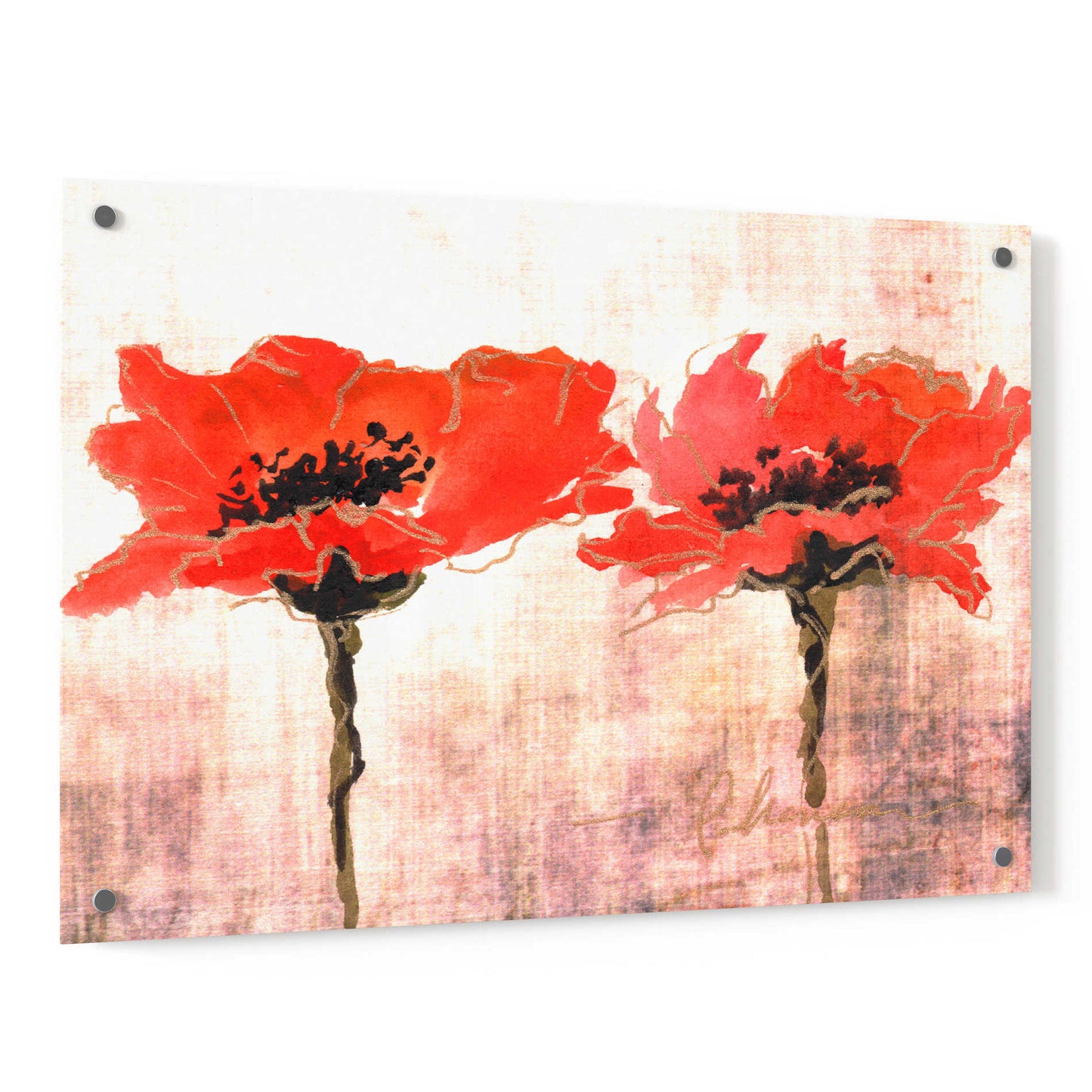Epic Art 'Vivid Red Poppies V' by Leticia Herrera, Acrylic Glass Wall Art,36x24