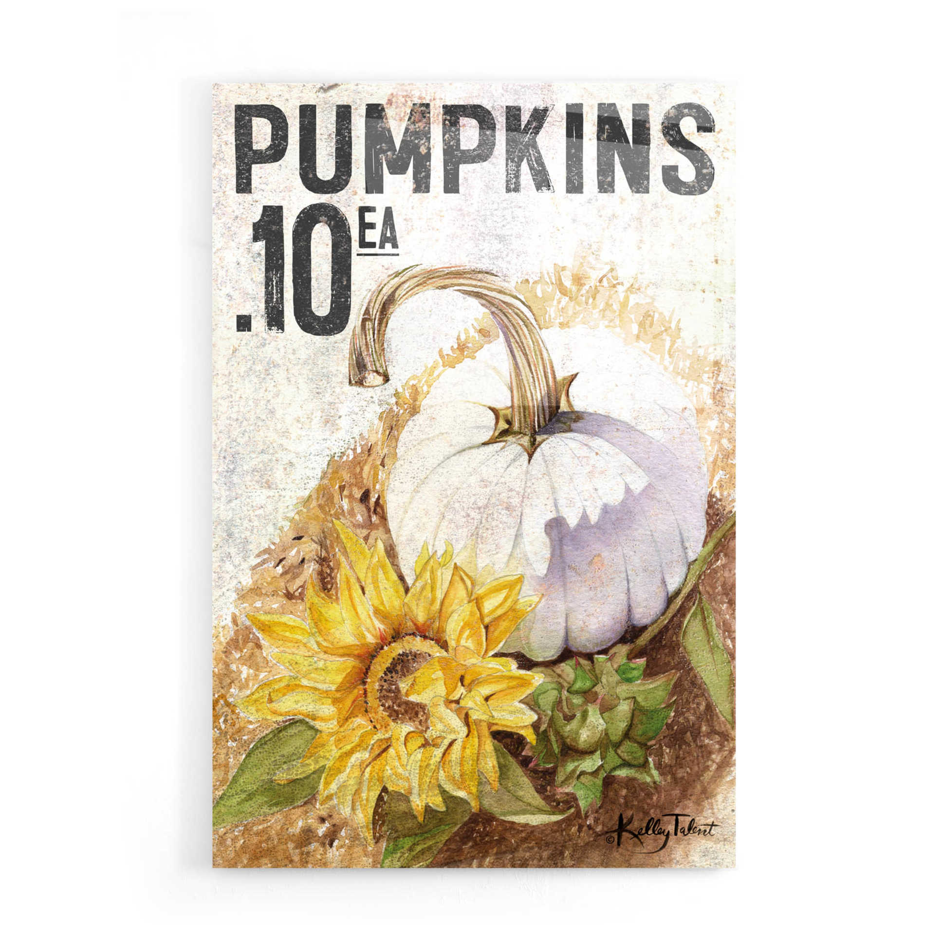 Epic Art 'White Harvest Pumpkin' by Kelley Talent, Acrylic Glass Wall Art,16x24