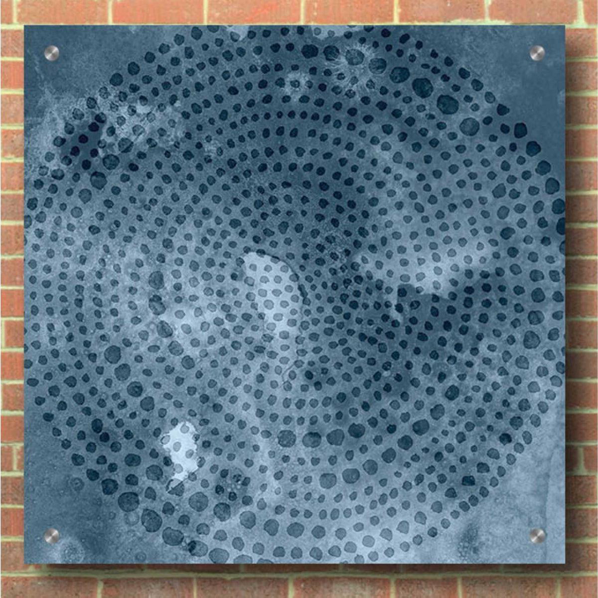 Epic Art 'Indigo Wheel I' by Chariklia Zarris, Acrylic Glass Wall Art,36x36