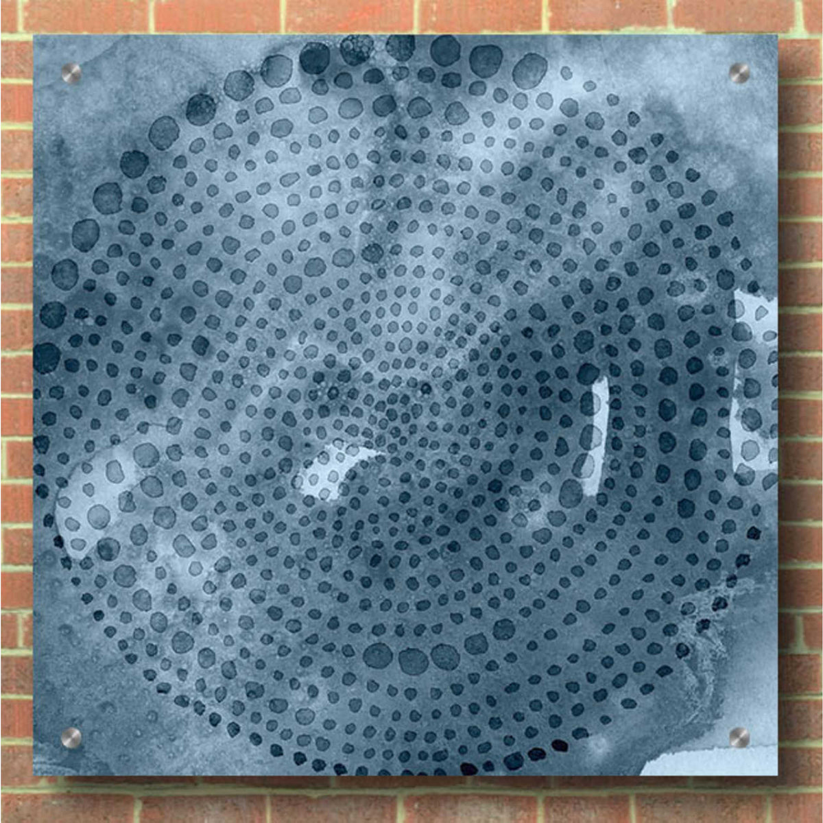 Epic Art 'Indigo Wheel II' by Chariklia Zarris, Acrylic Glass Wall Art,36x36