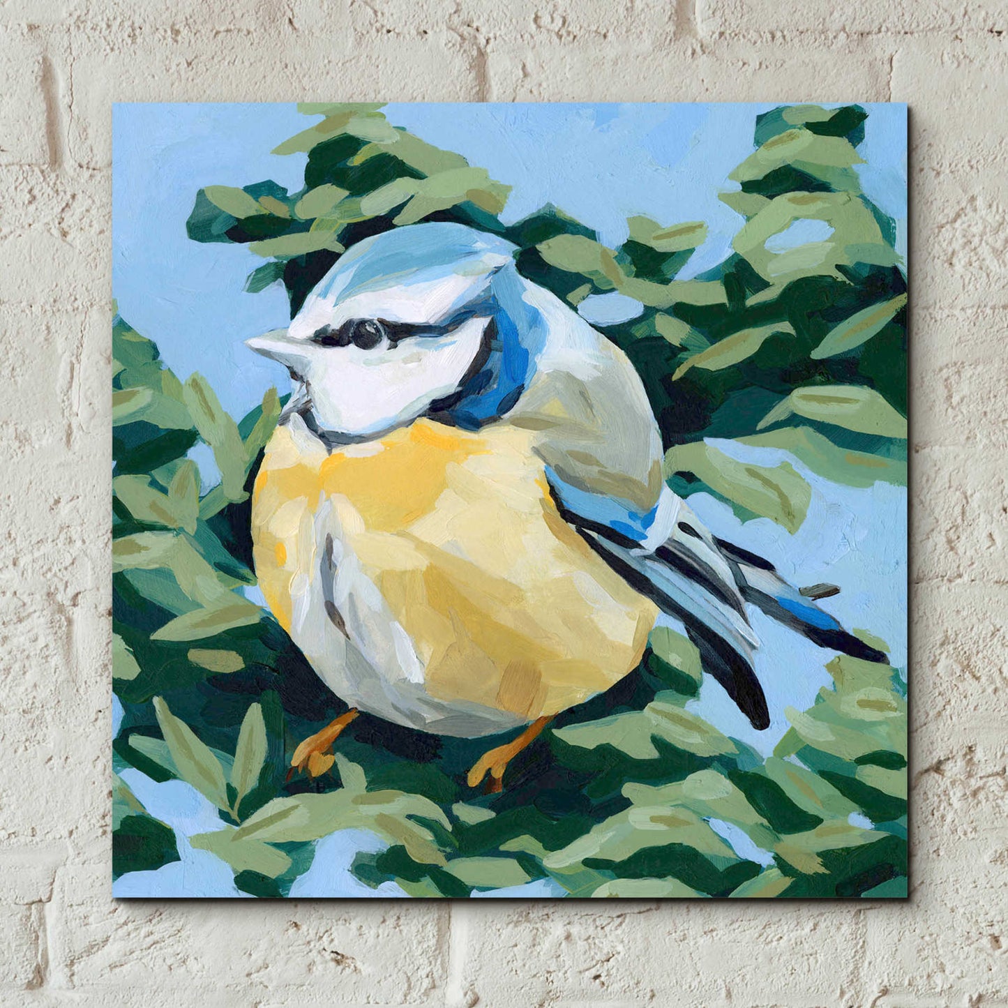 Epic Art 'Painterly Bird II' by Emma Scarvey, Acrylic Glass Wall Art,12x12