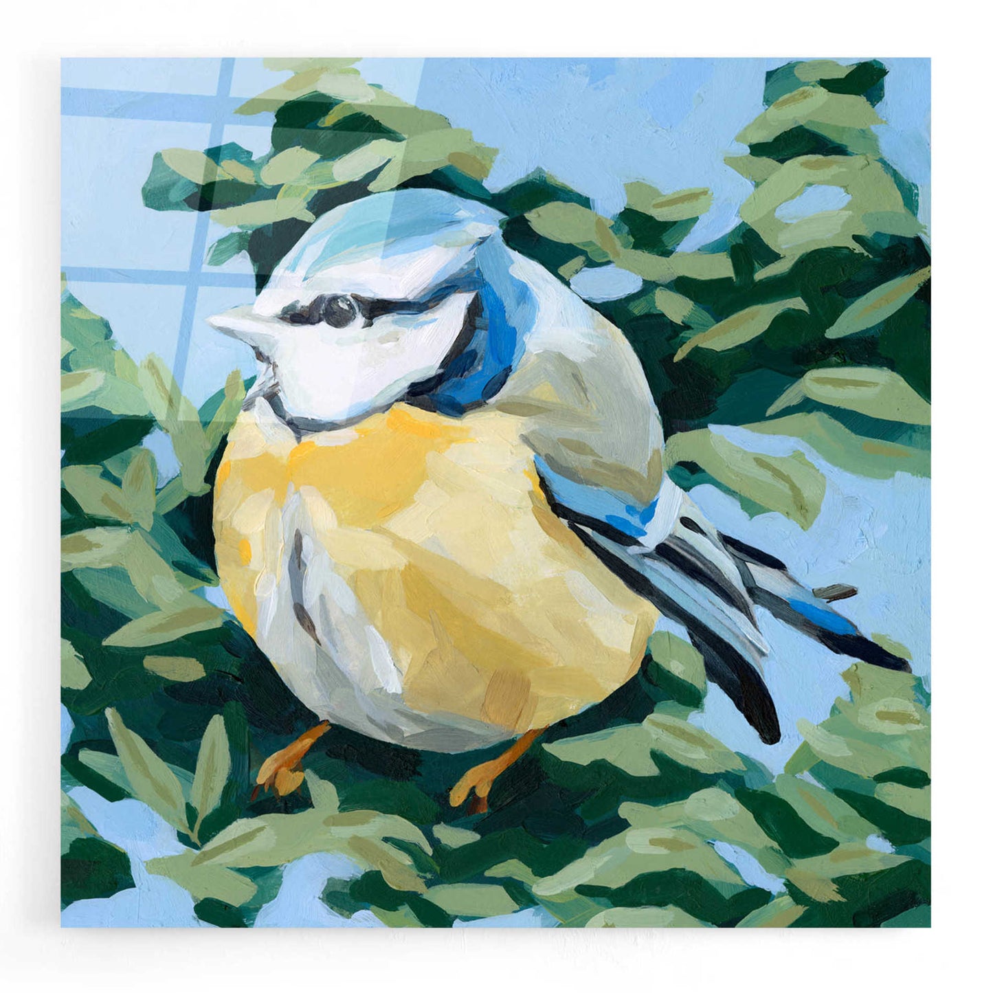 Epic Art 'Painterly Bird II' by Emma Scarvey, Acrylic Glass Wall Art,12x12