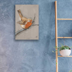Epic Art 'Winter Bird II' by Jade Reynolds, Acrylic Glass Wall Art,16x24