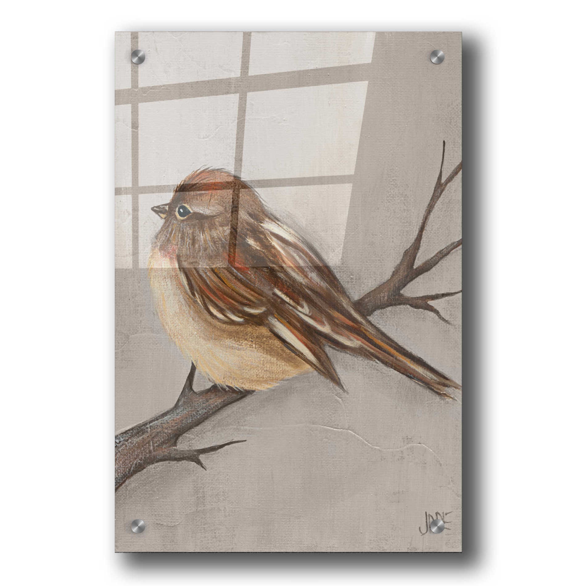 Epic Art 'Winter Bird III' by Jade Reynolds, Acrylic Glass Wall Art,24x36
