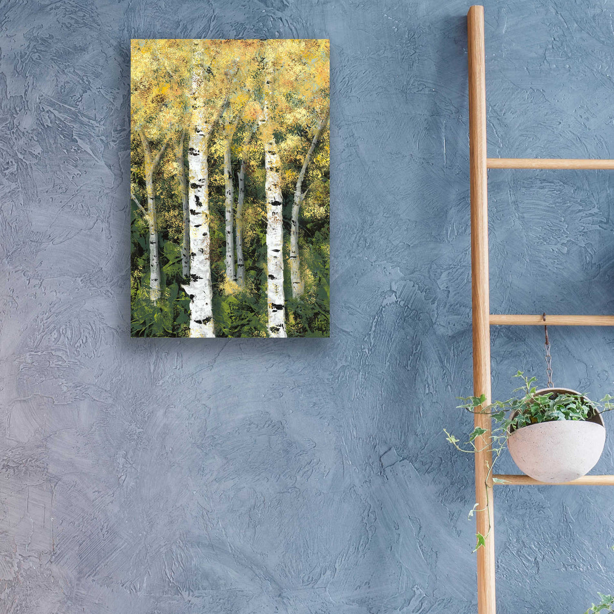 Epic Art 'Birch Treeline II' by Jade Reynolds, Acrylic Glass Wall Art,16x24
